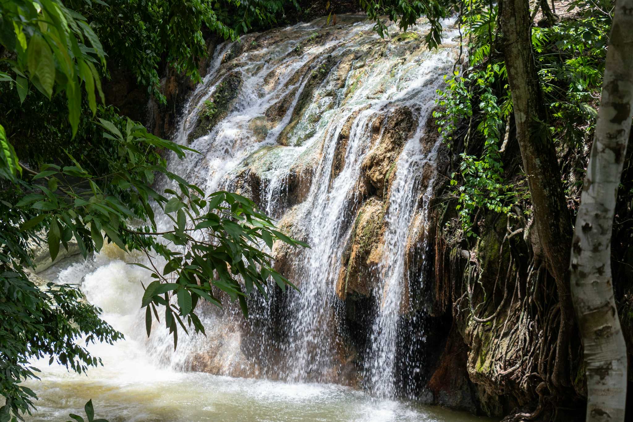 Cascada El Salto Del Venado