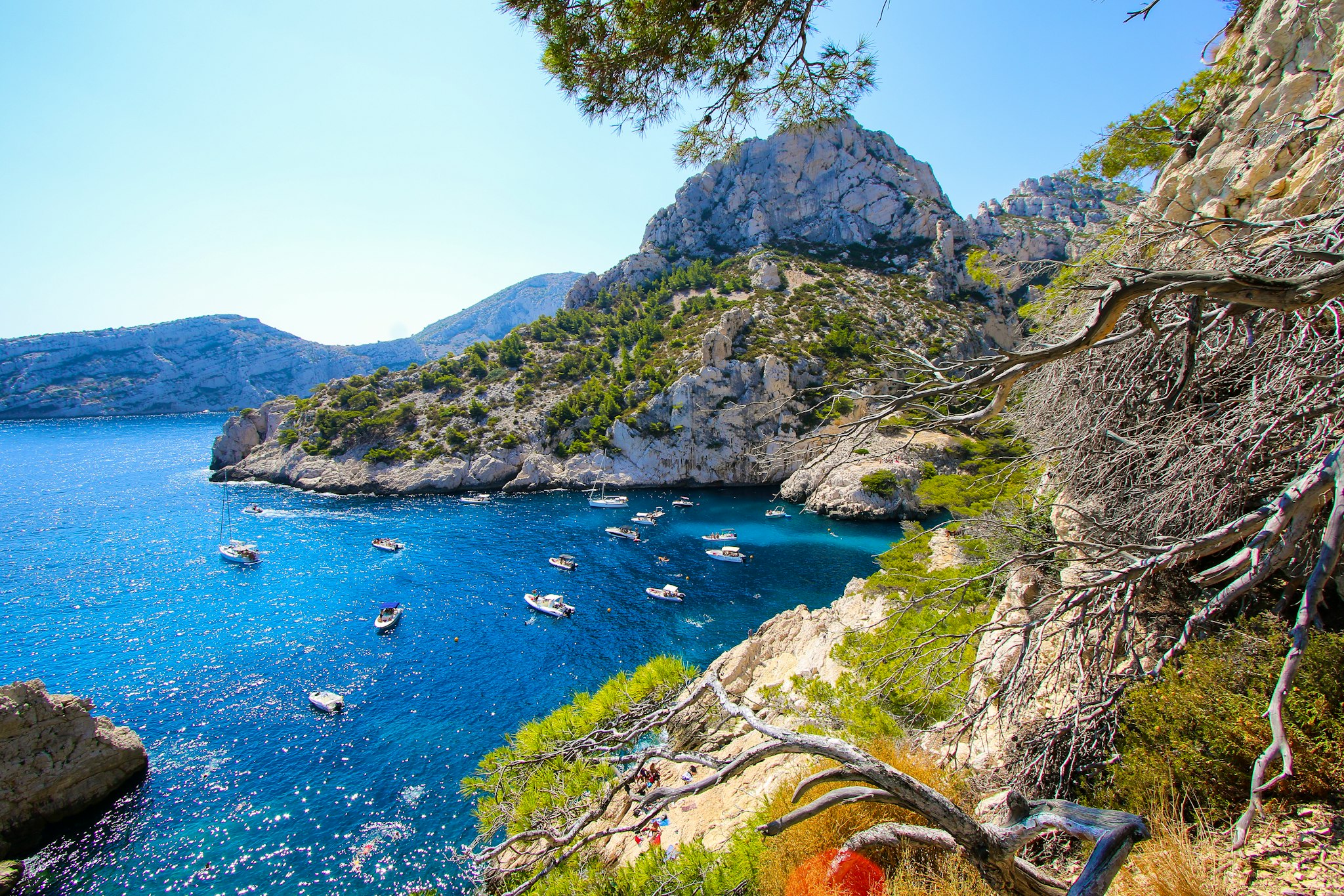 Marseille to Cassis and La Ciotat: Private day trip