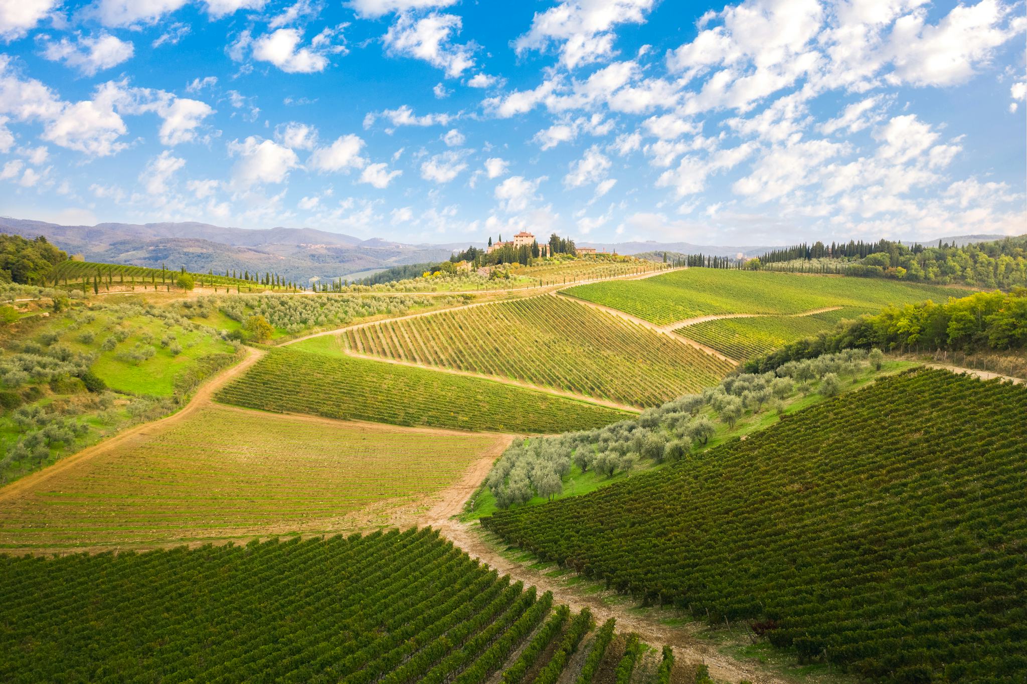 Castellina in Chianti