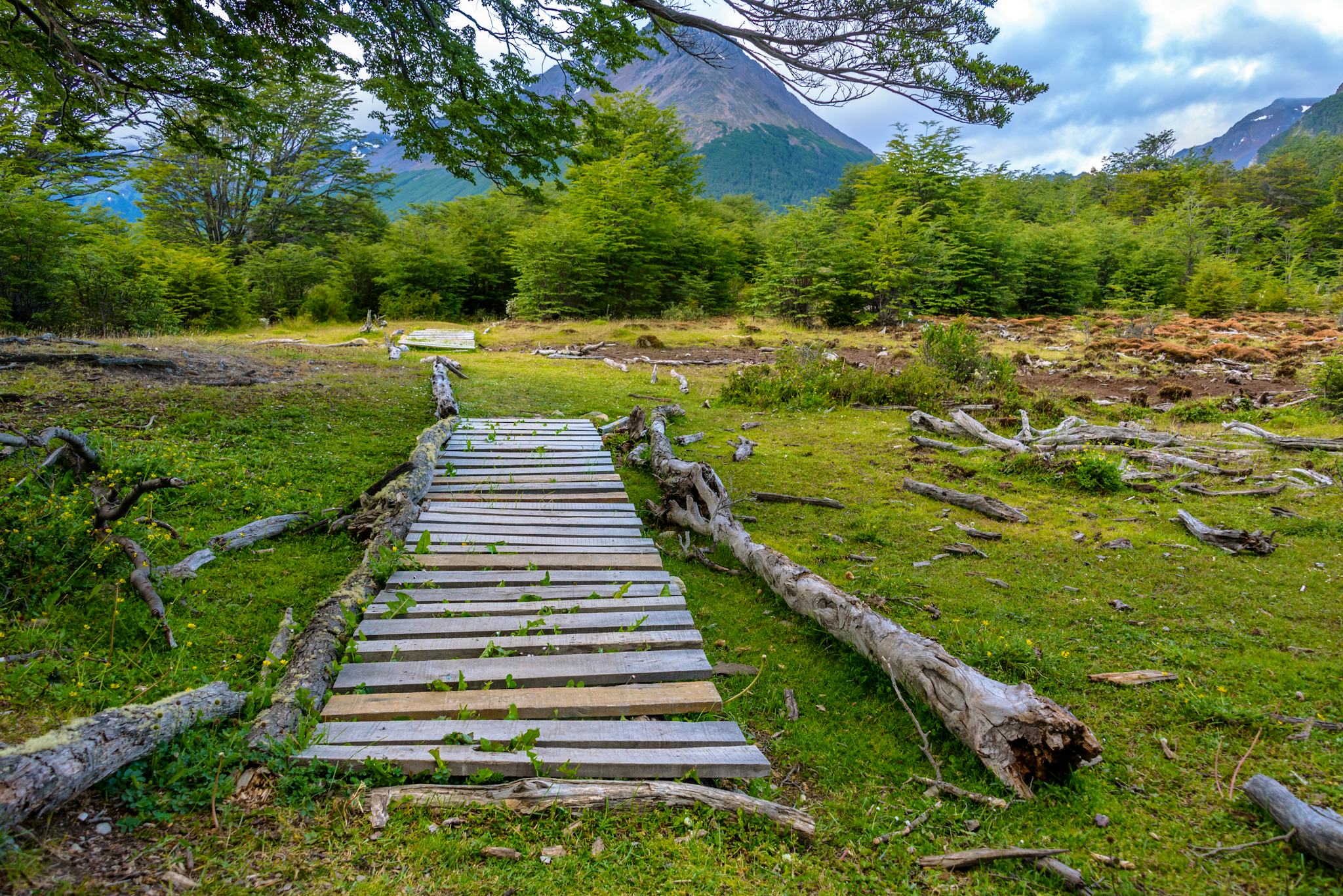 Cerro Alarken Nature Reserve