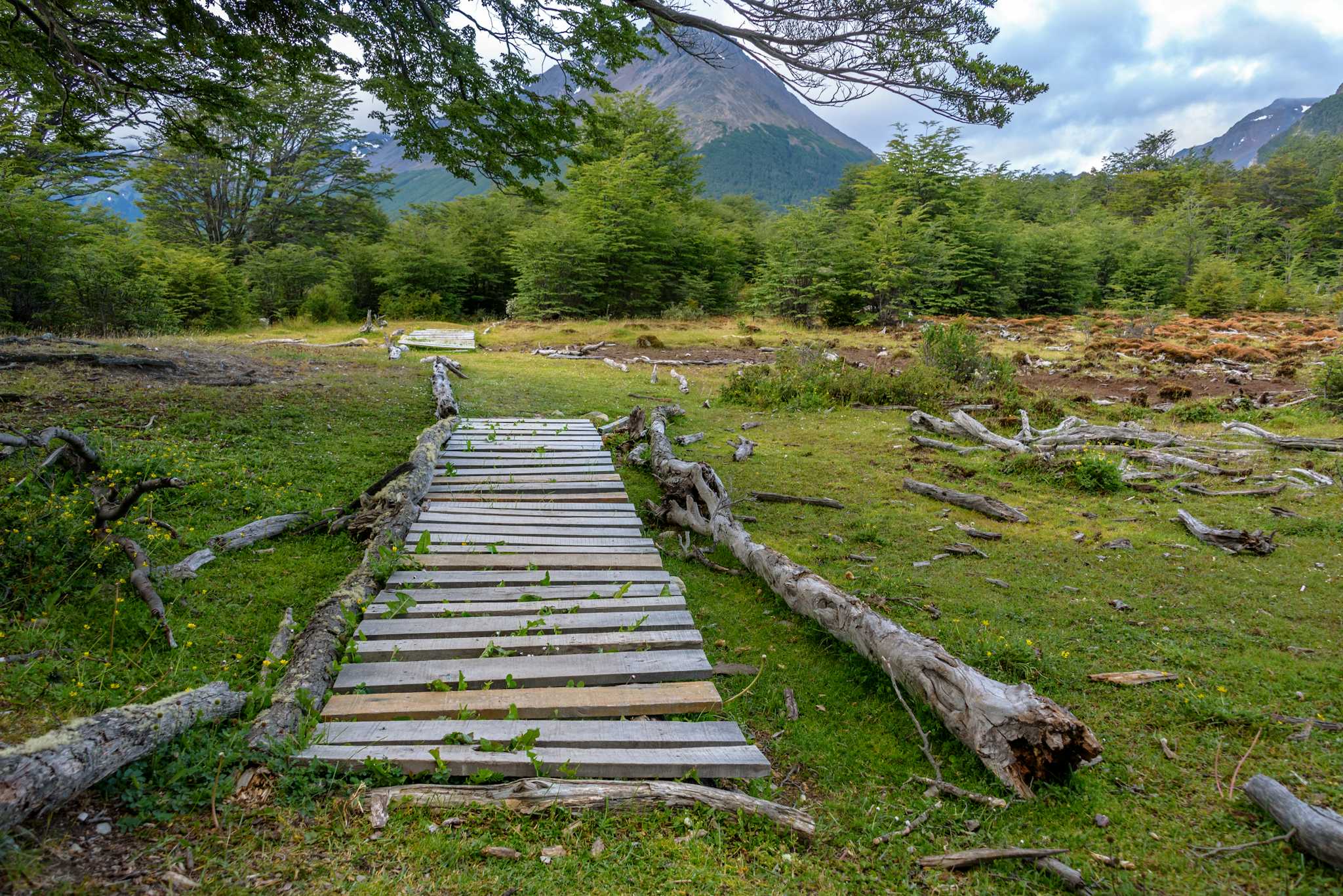 Cerro Alarken Nature Reserve