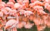 Discover location header image