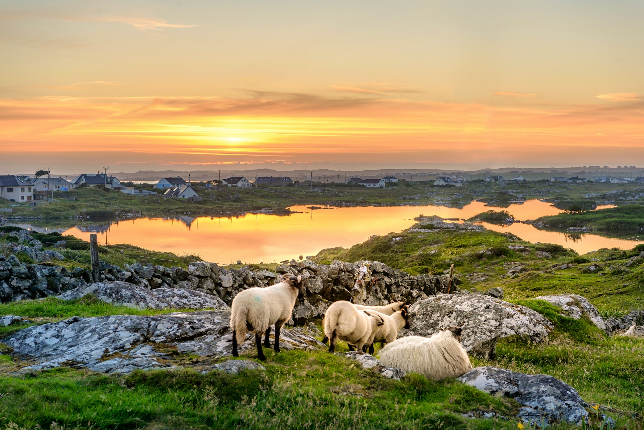 Galway to Clifden and Kylemore Abbey: Private day trip