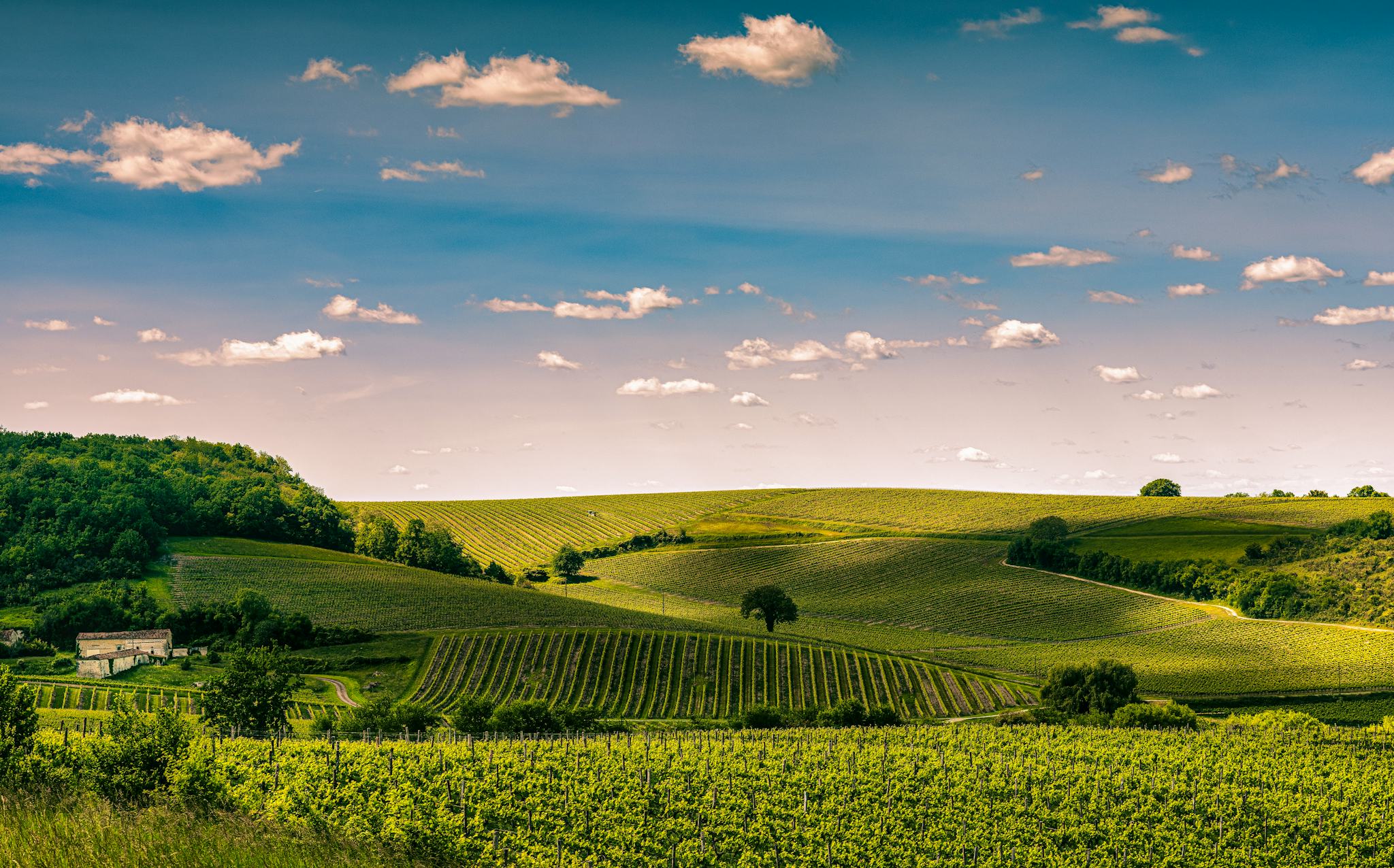 Bordeaux to Cognac and Jarnac: Private day trip