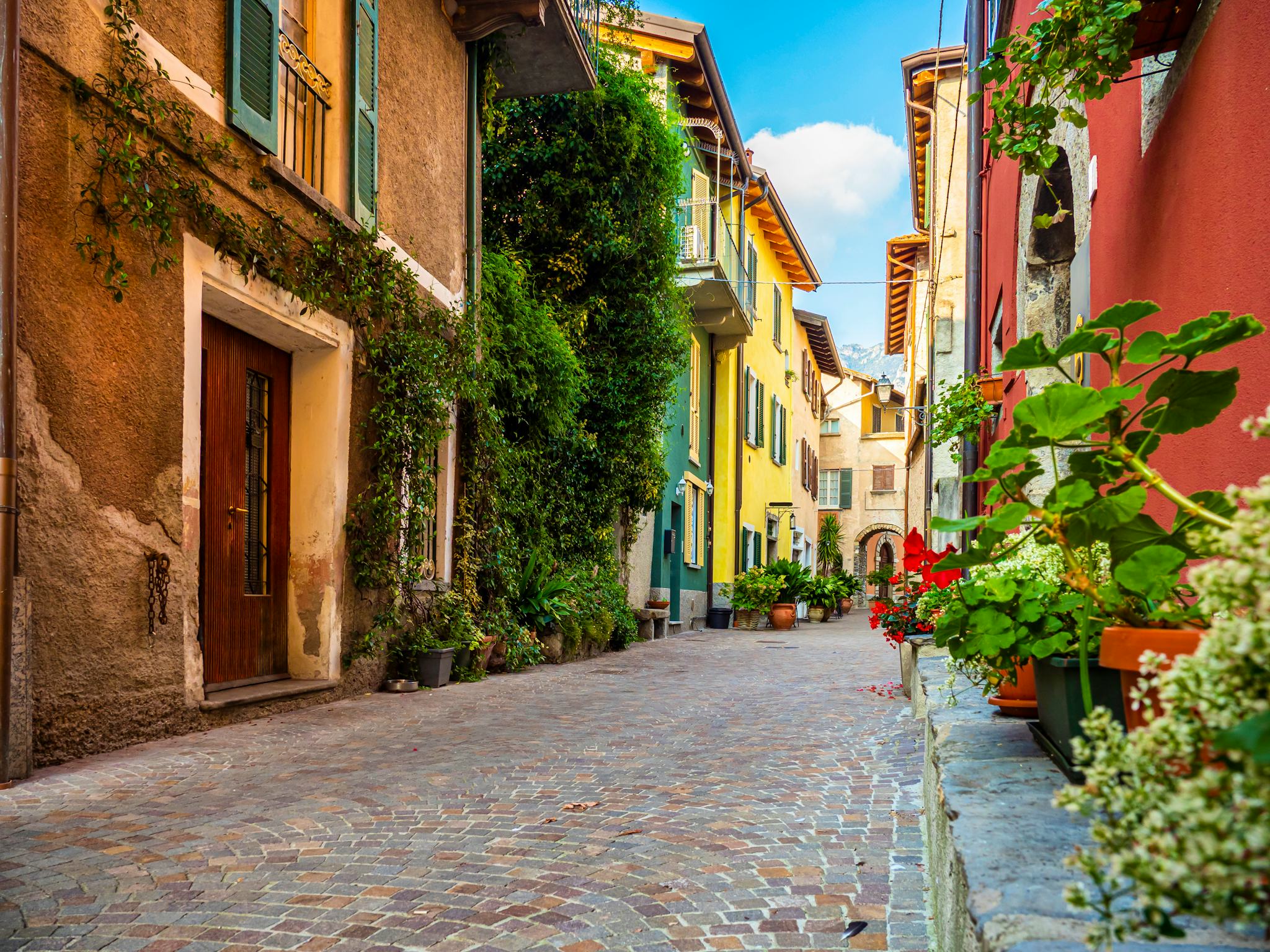 Milan to Como City and Bellagio: Private day trip