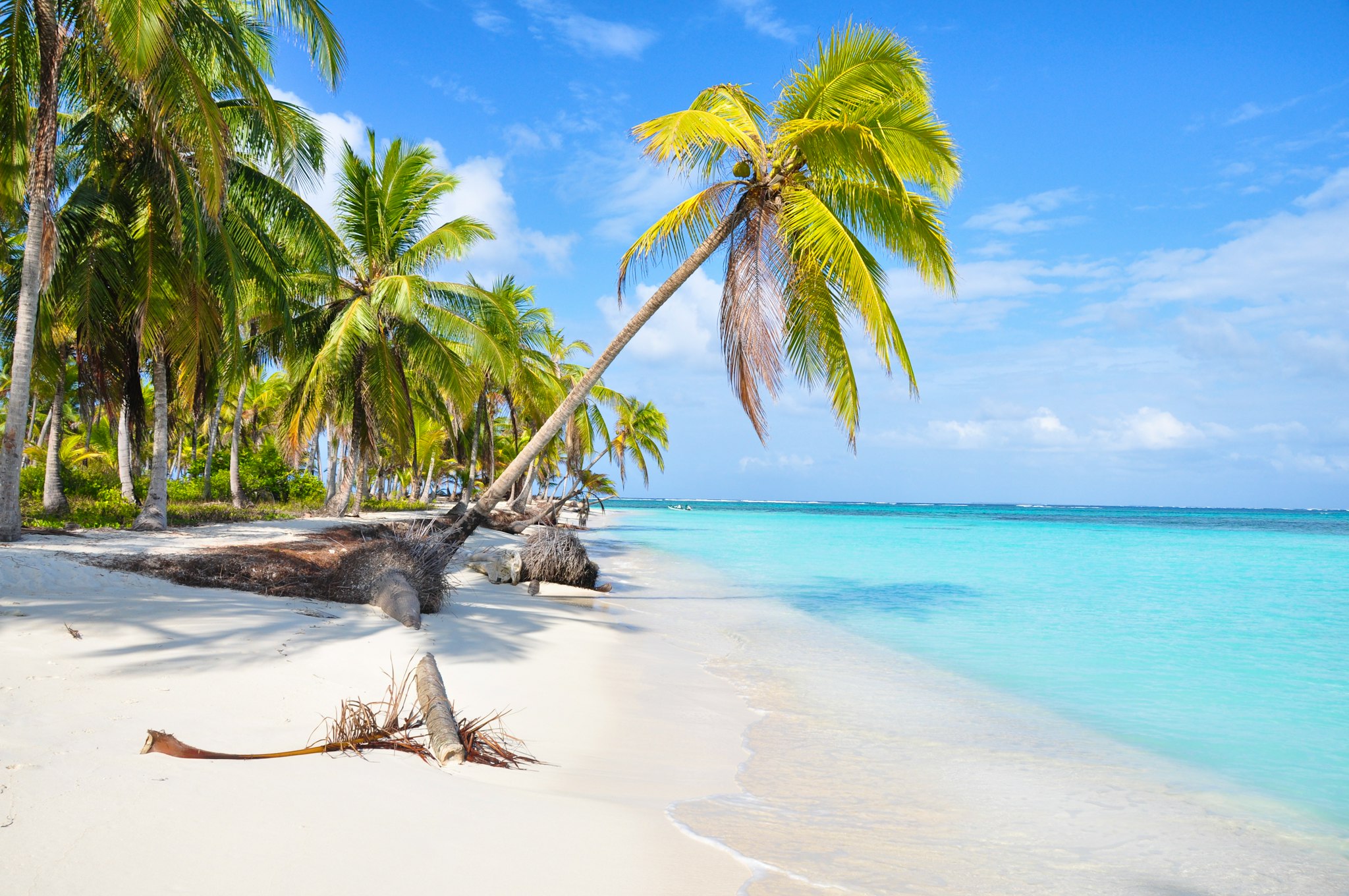 Panama City to Playa Coronado: Private day trip