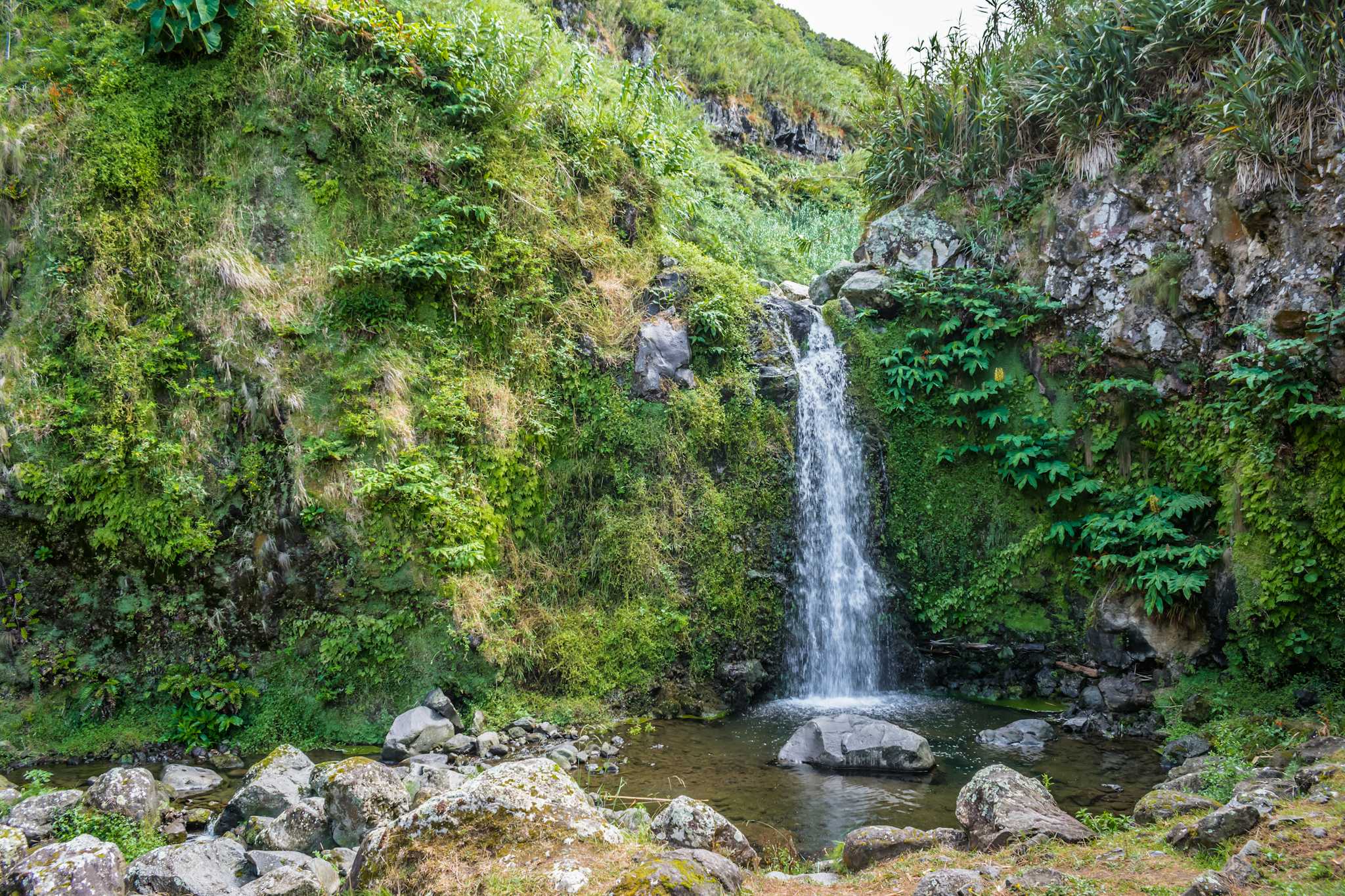 Desvío a Río Zacate