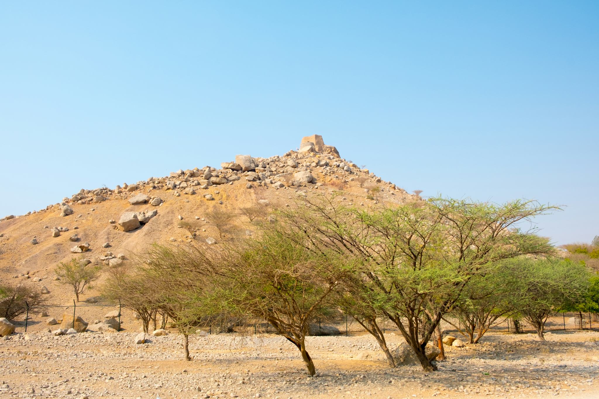 Dhayah Fort