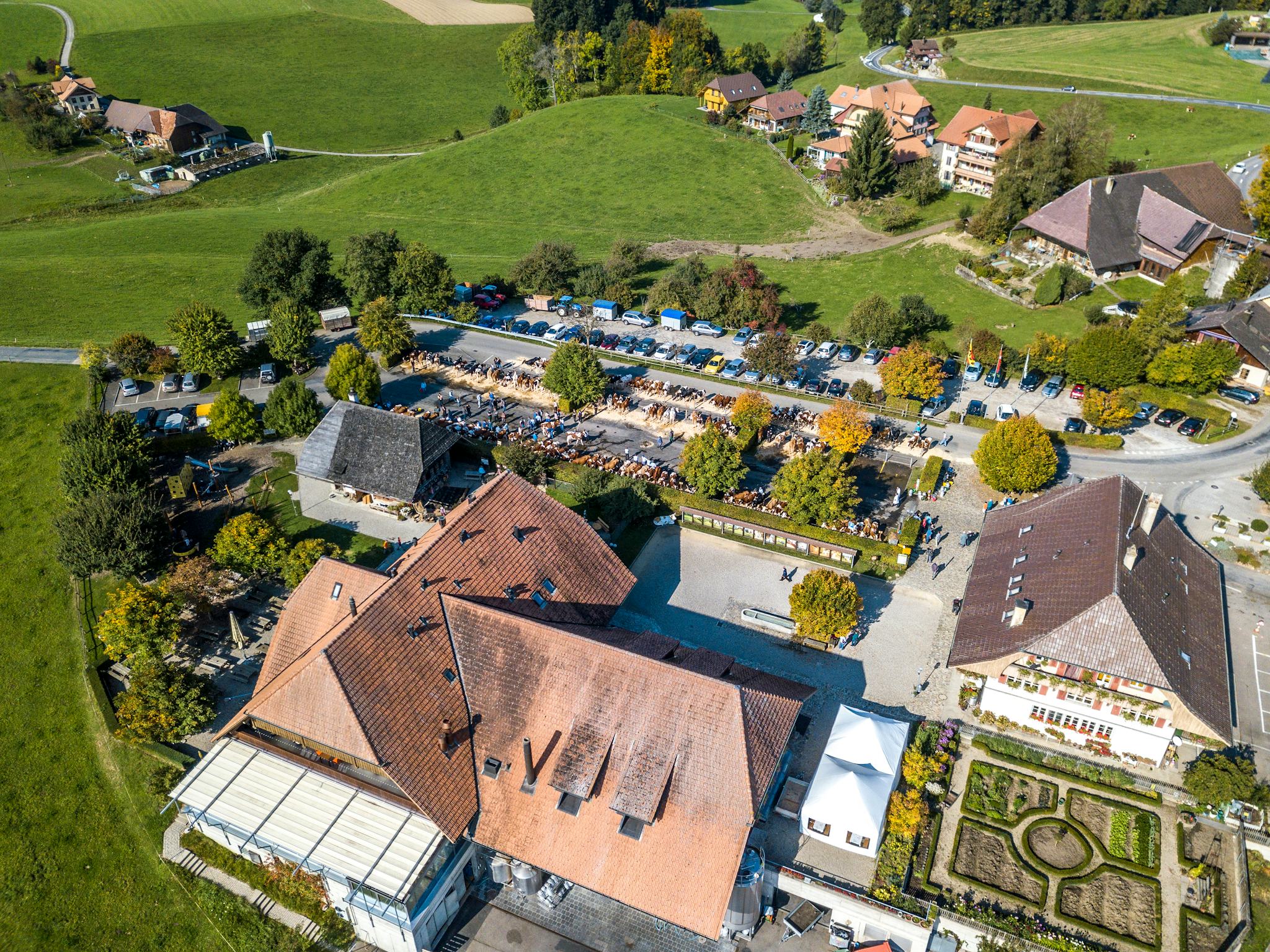Emmentaler Schaukaserei