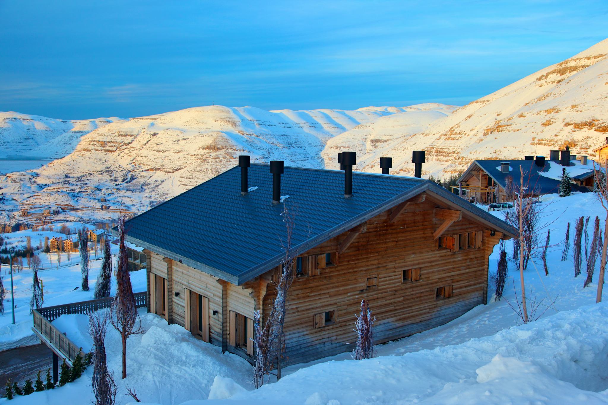 Faraya