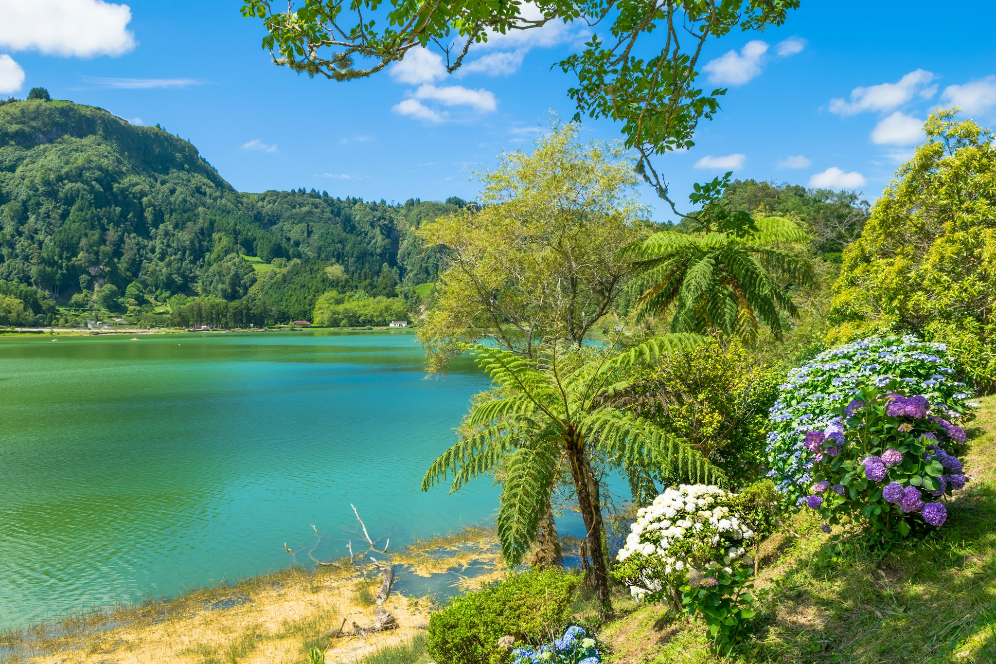 Furnas lake
