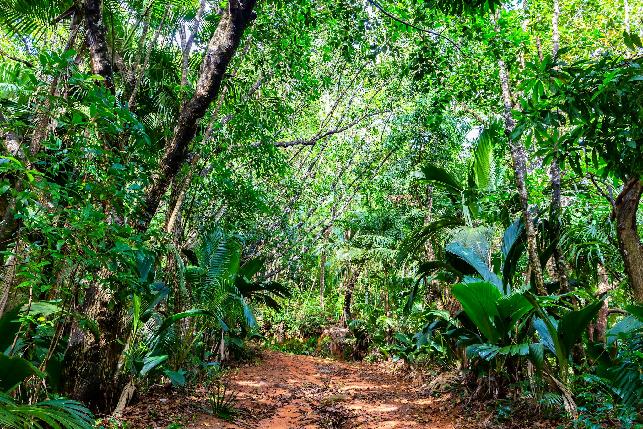 Glacis La Reserve Trail