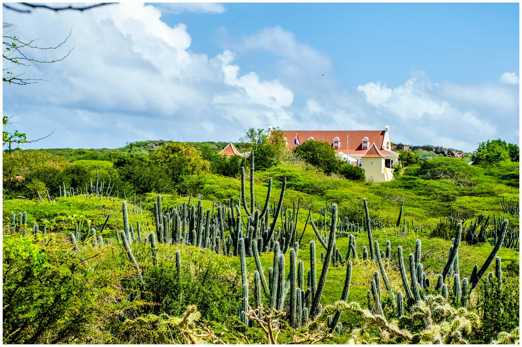 Grote Berg, Curacao