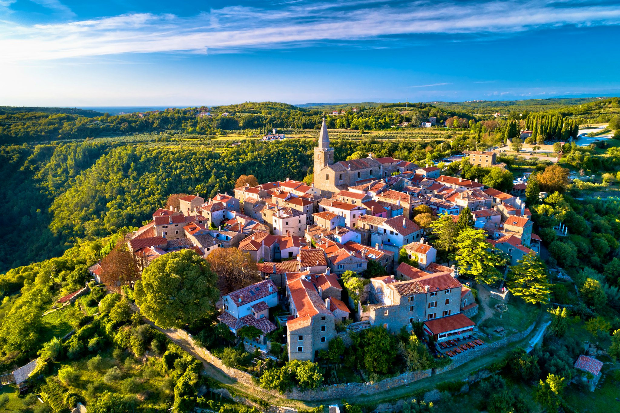 Pula to Groznjan and Motovun: Private day trip