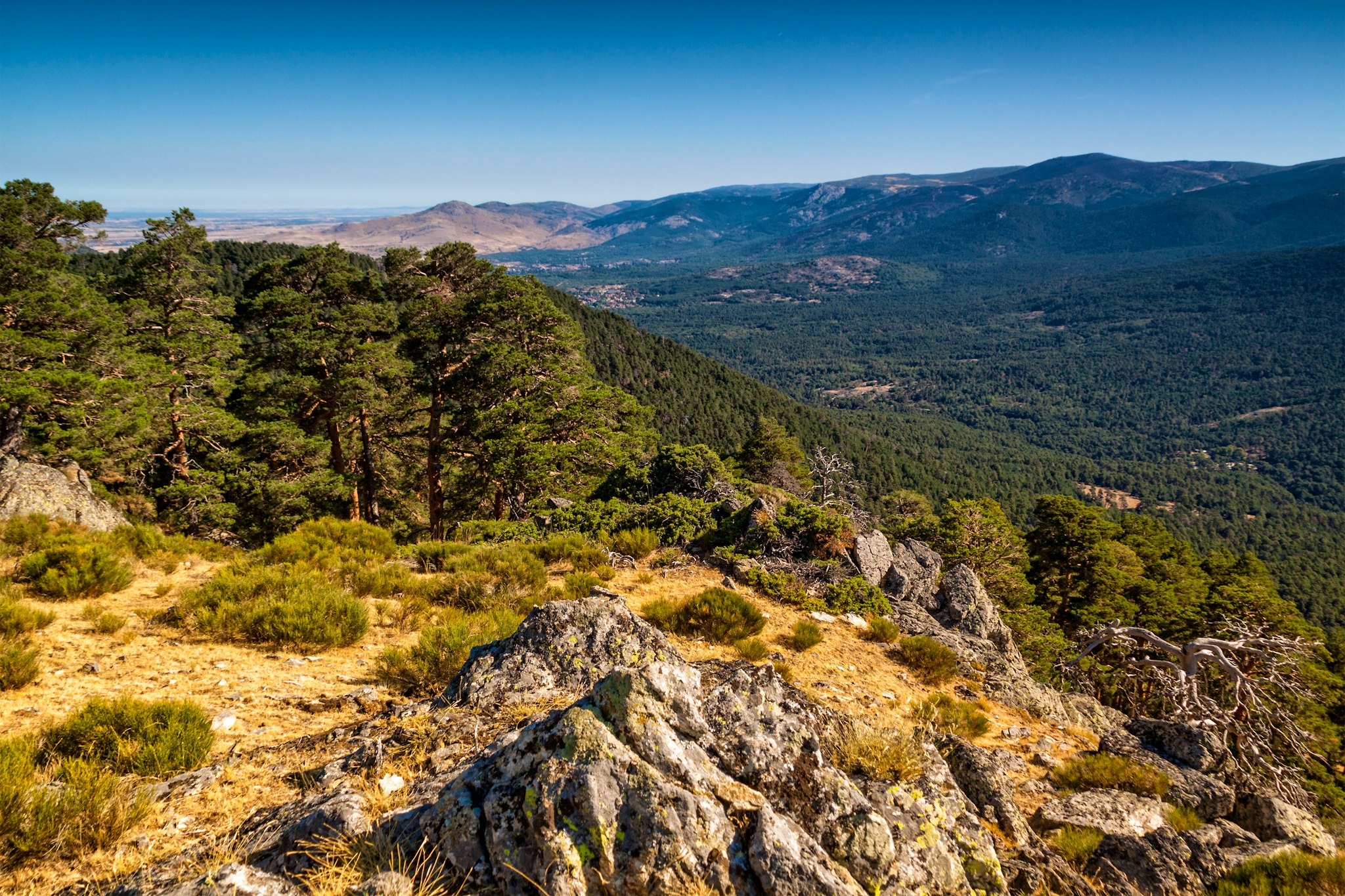Madrid to Guadarrama National Park: Private day trip