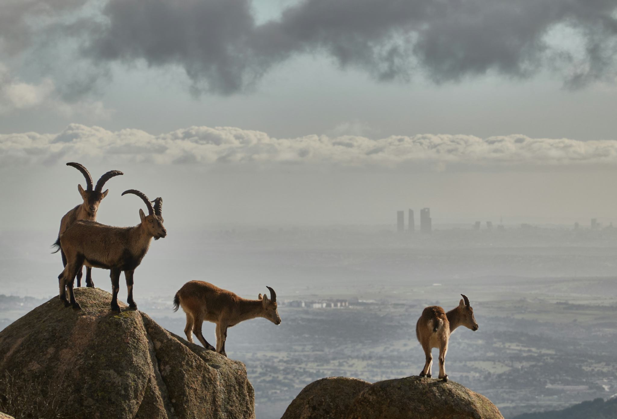Guadarrama National Park