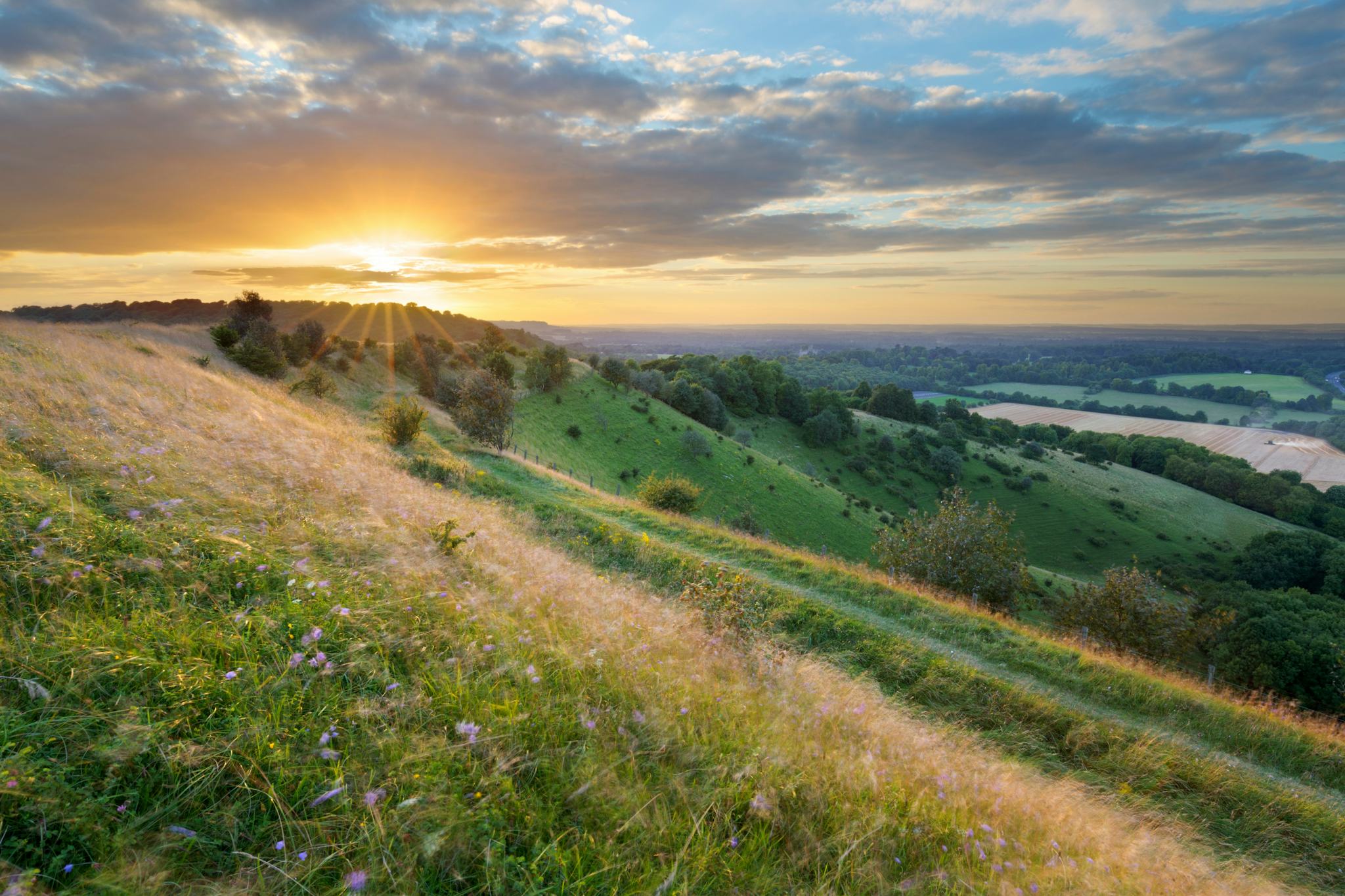 Hampshire Countryside