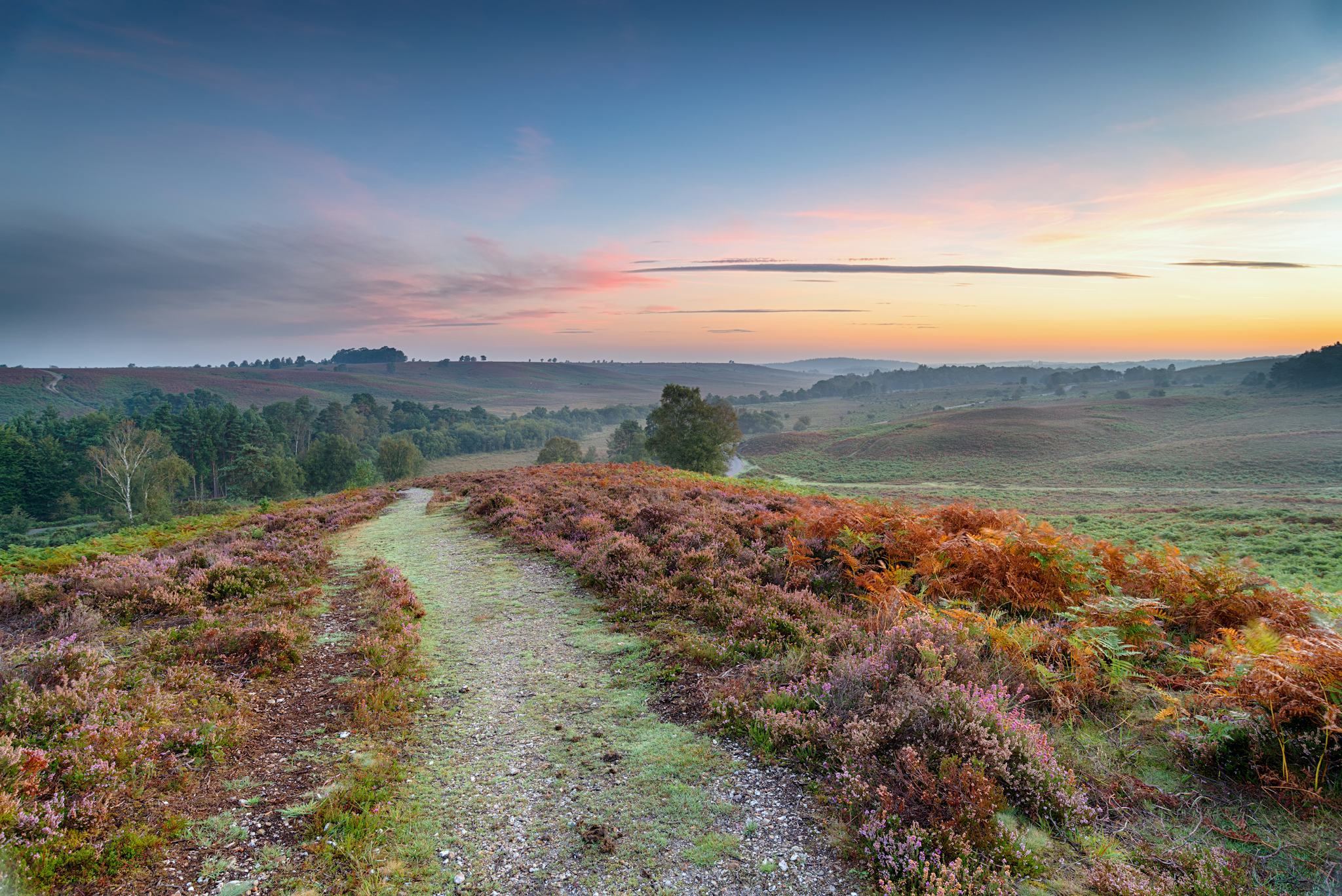 Hampshire Countryside