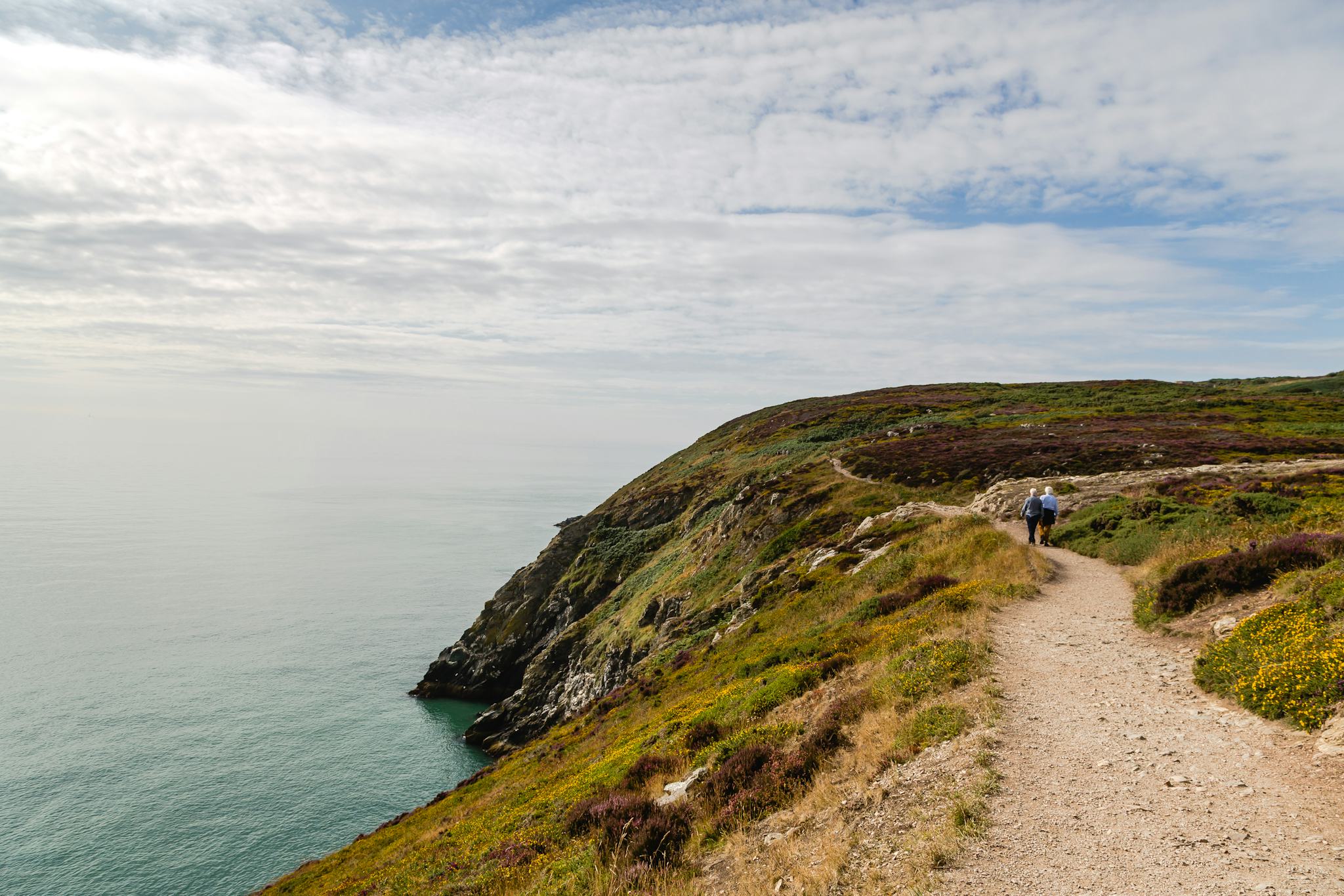 Howth Cliff