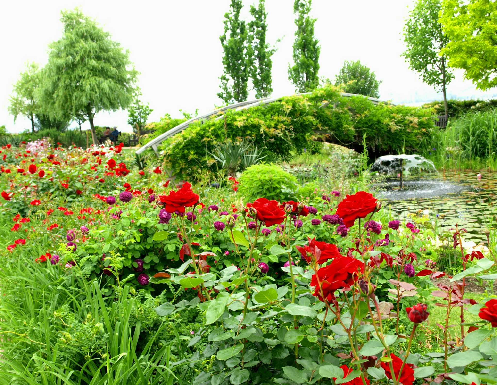 Iwamizawa Rose Garden