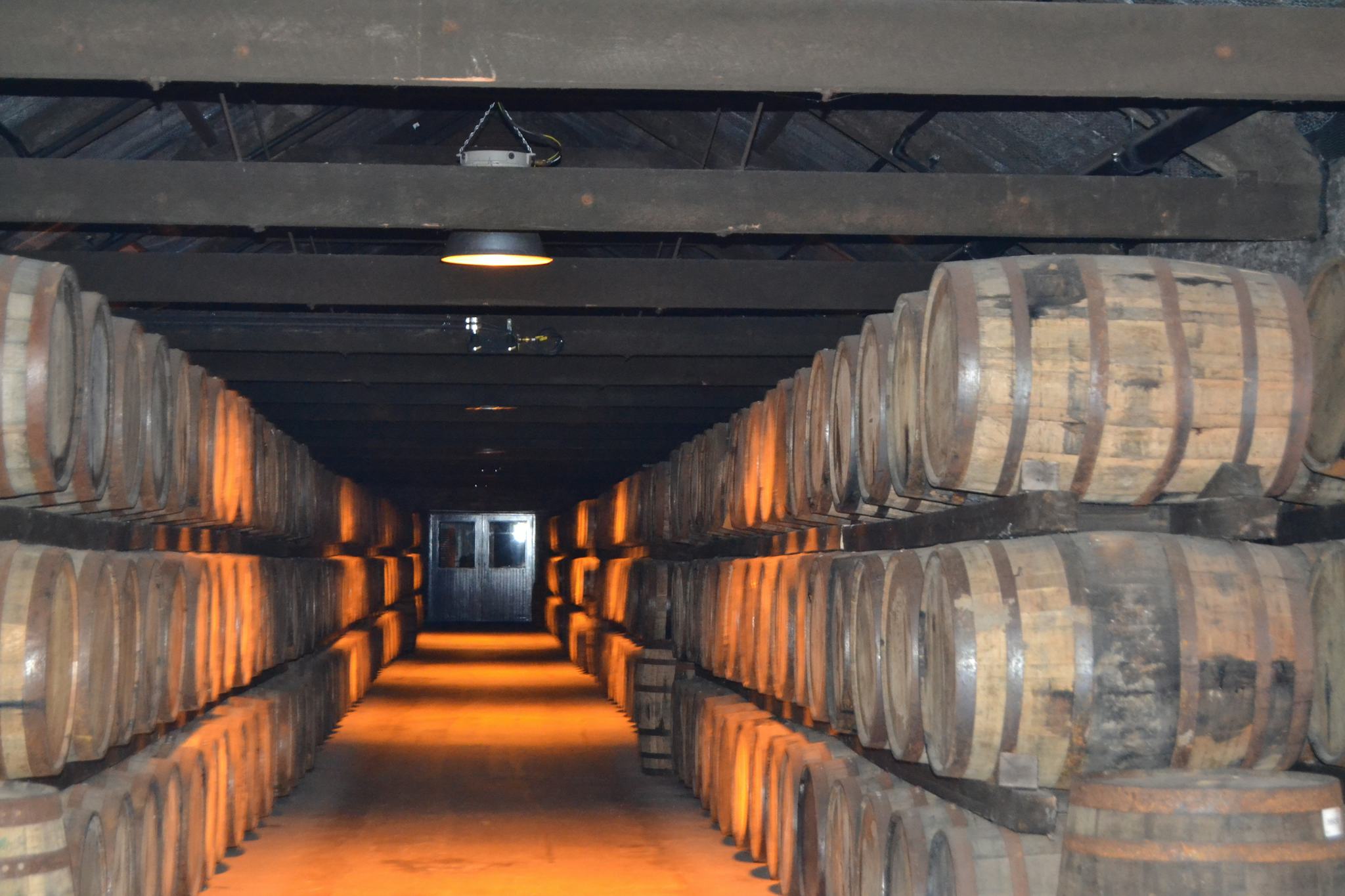 Midleton Distillery Experience