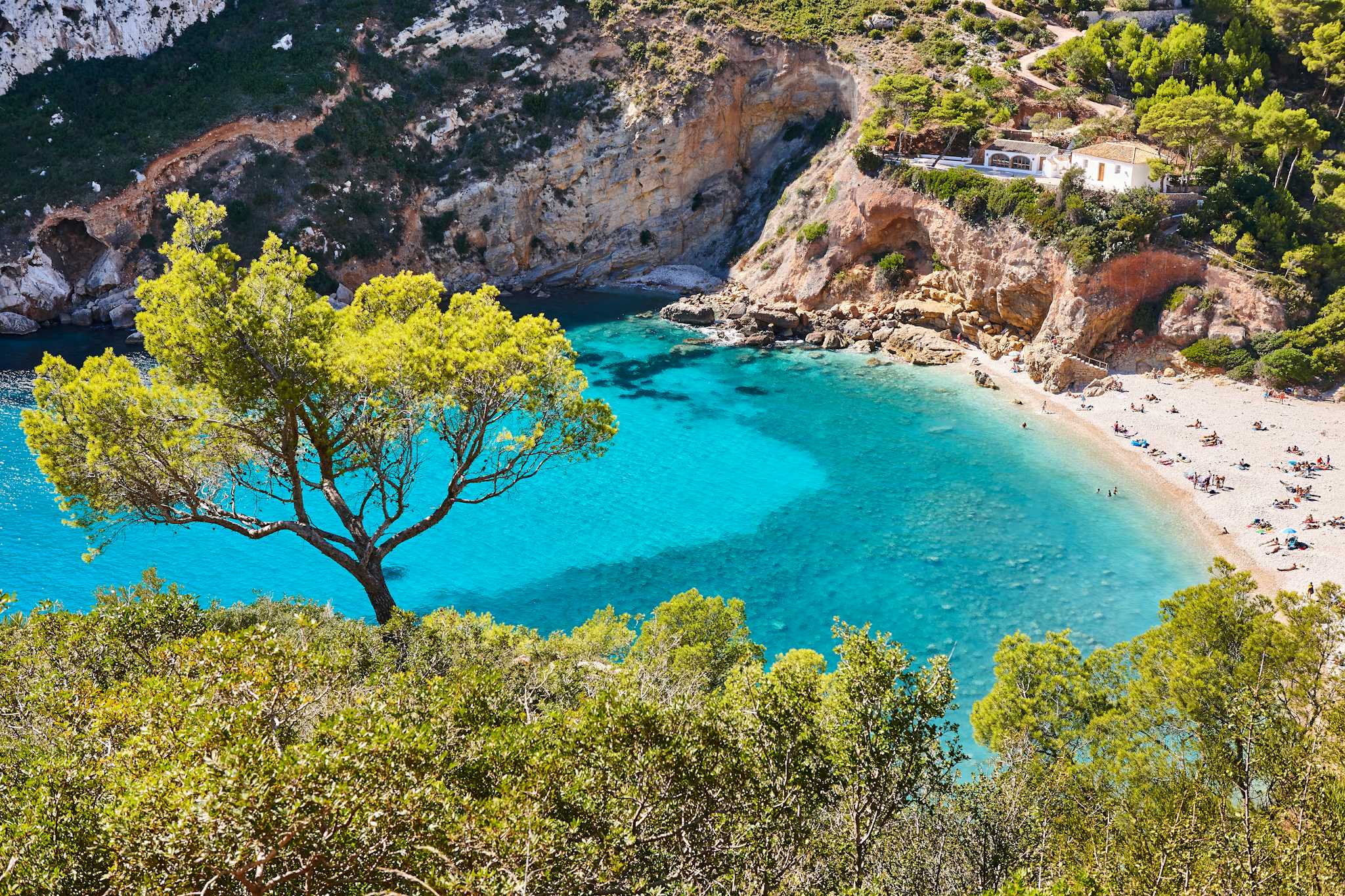 Javea