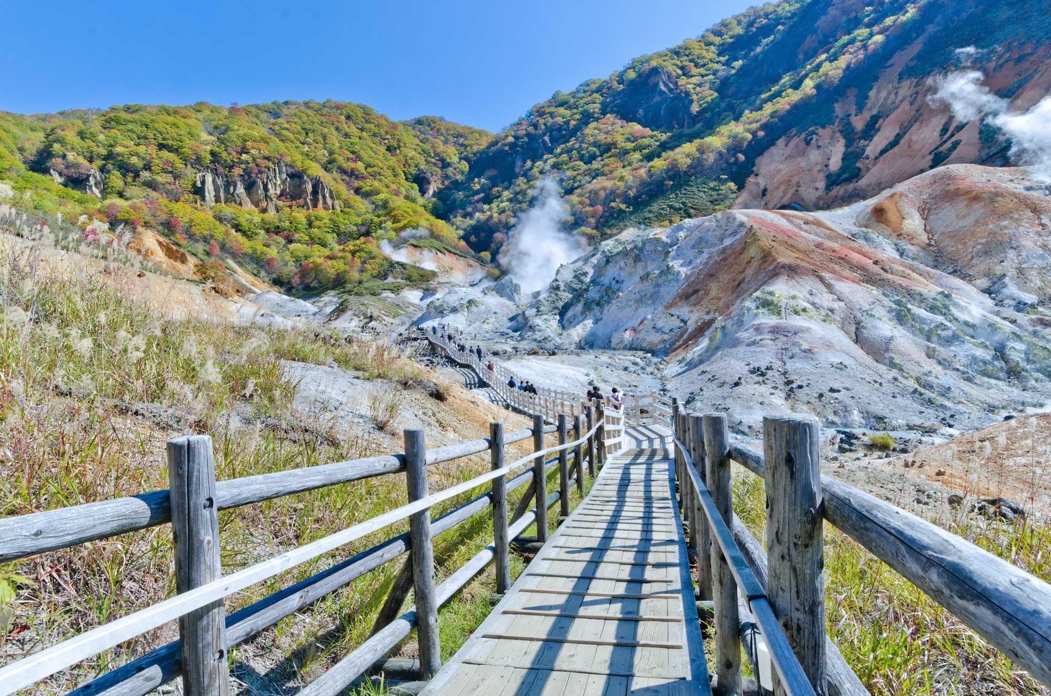 Jigokudani (Hell Valley)