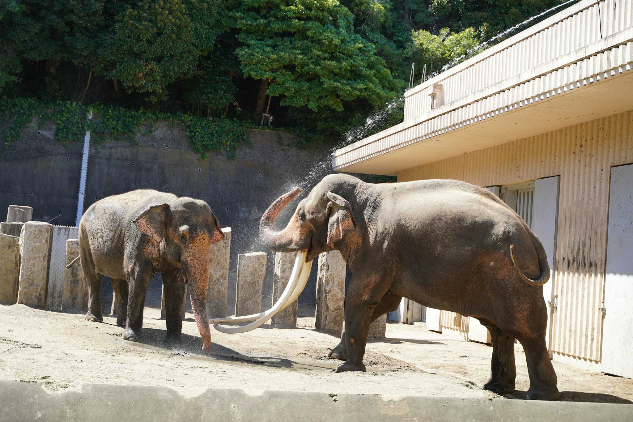 Kanazawa Zoological Gardens