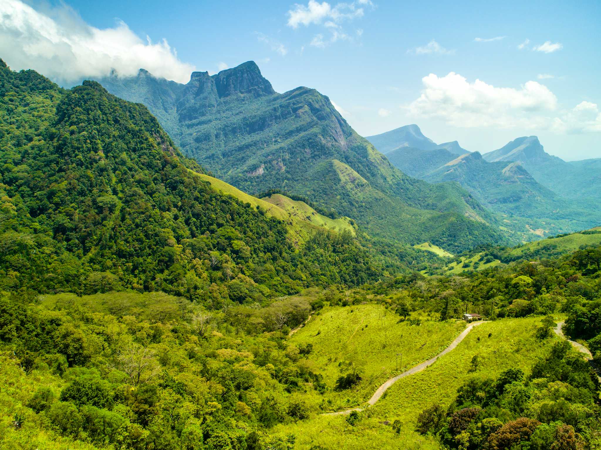 Knuckles Mountain Range