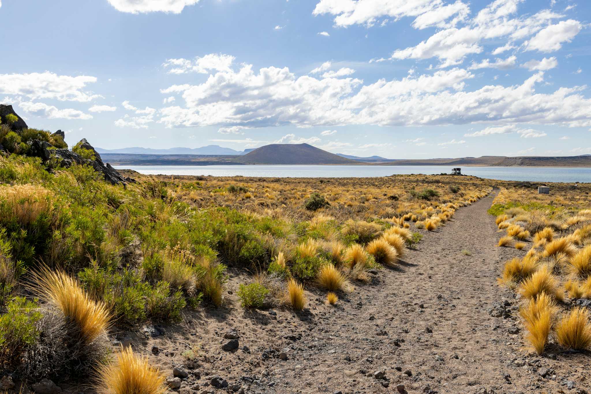 Laguna Blanca National Park