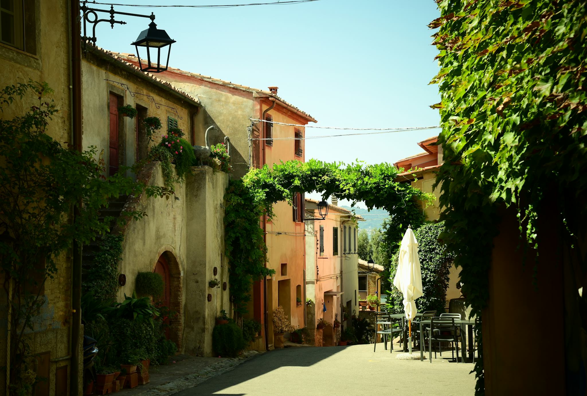 Lajatico