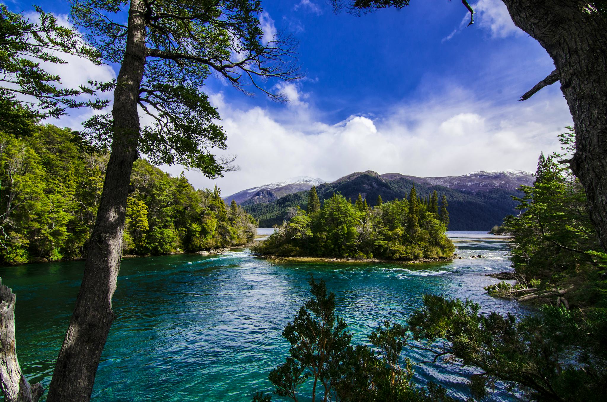 Los Alerces National Park