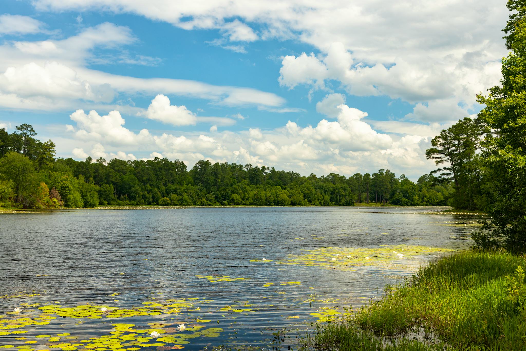 Magnolia Springs State Park