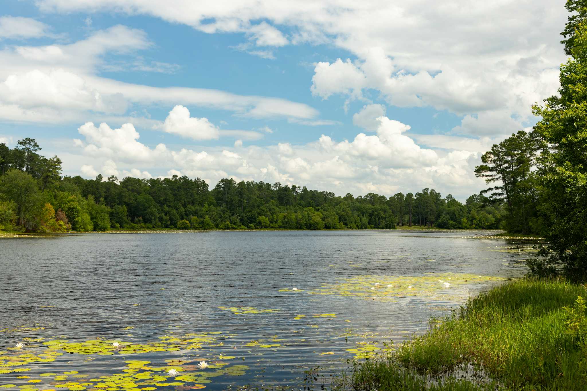 Magnolia Springs State Park