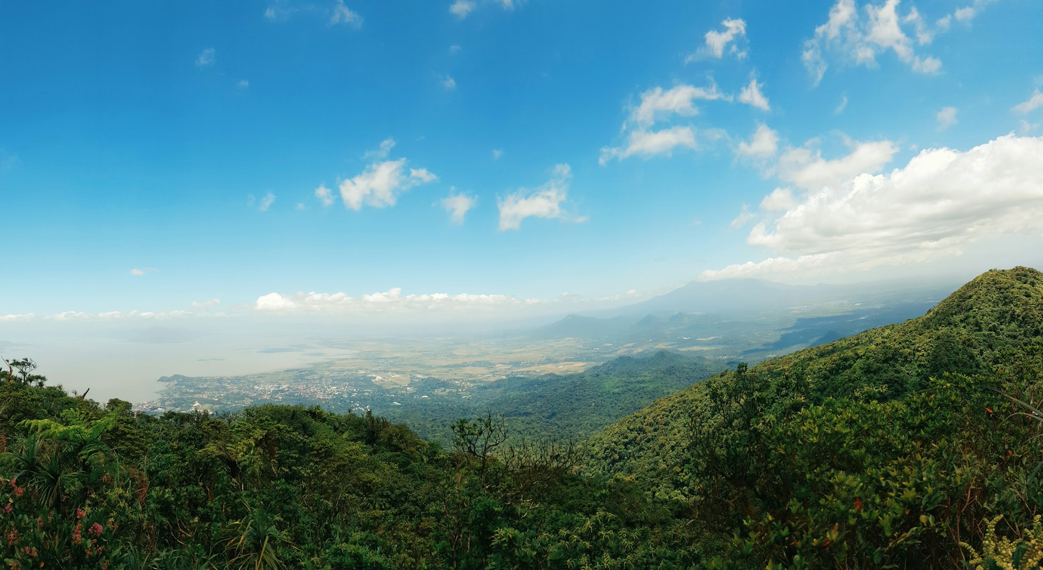 Makiling Botanic Gardens