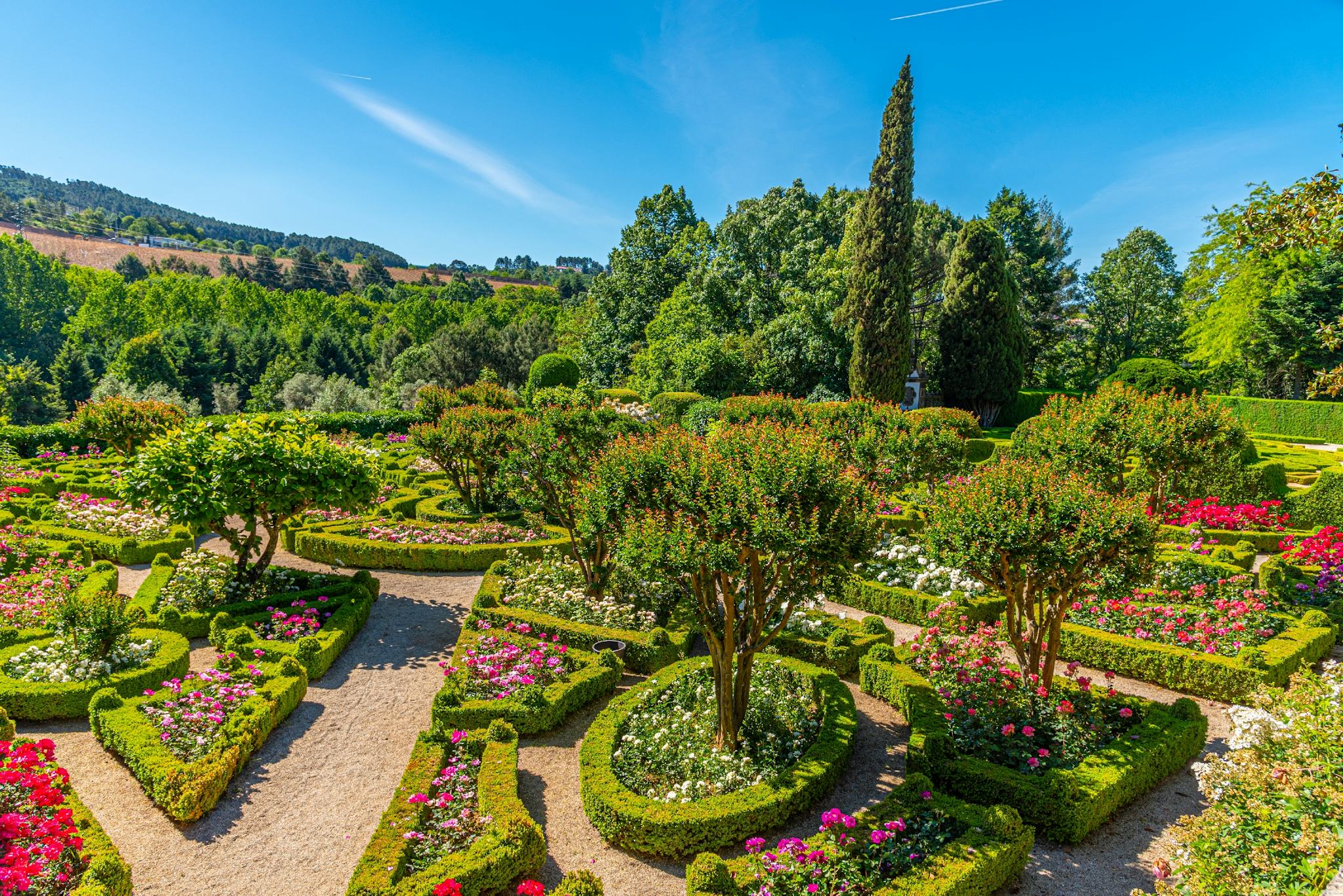 Mateus Palace