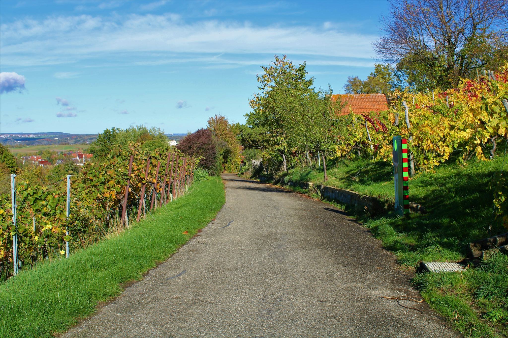 Metzingen