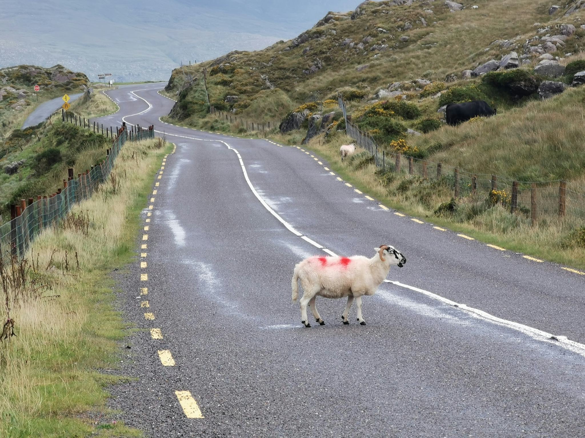 Moll’s Gap