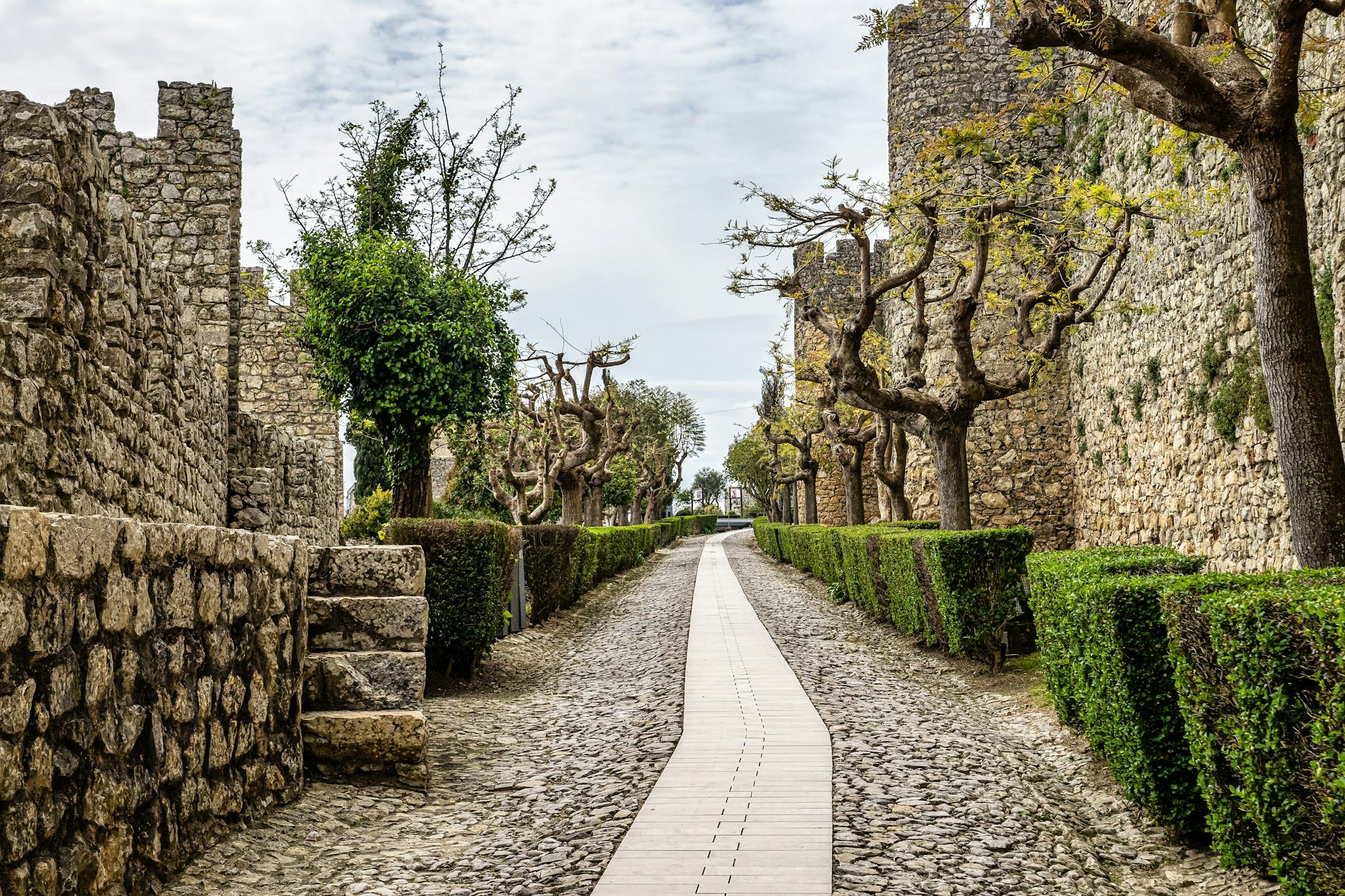 Montemor-o-Velho Castle
