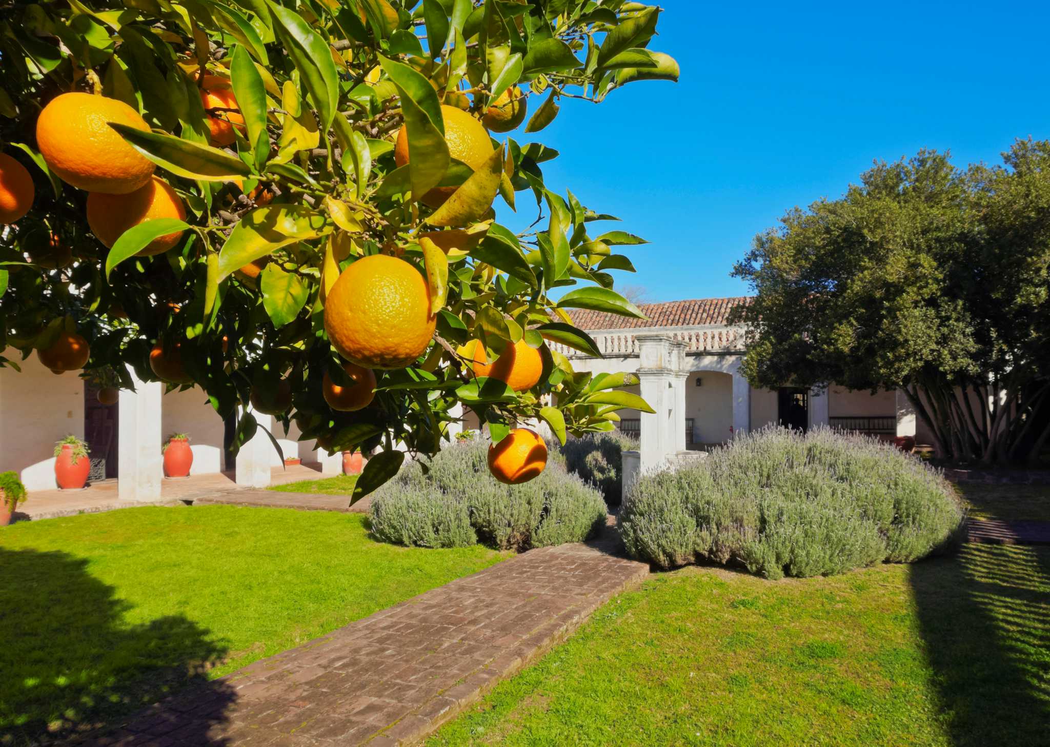 Museum of Friulanidad Casa Copetti