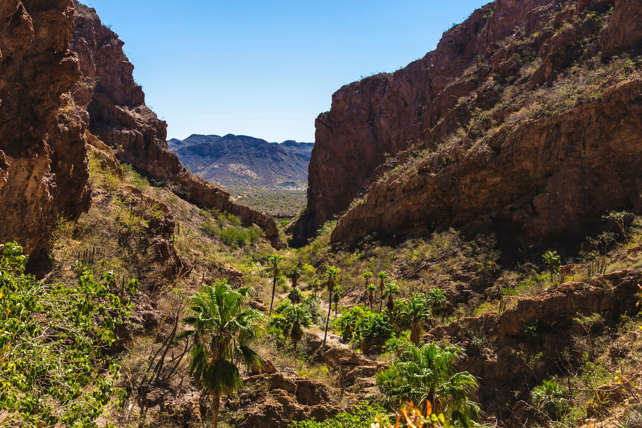 Nacapule Canyon