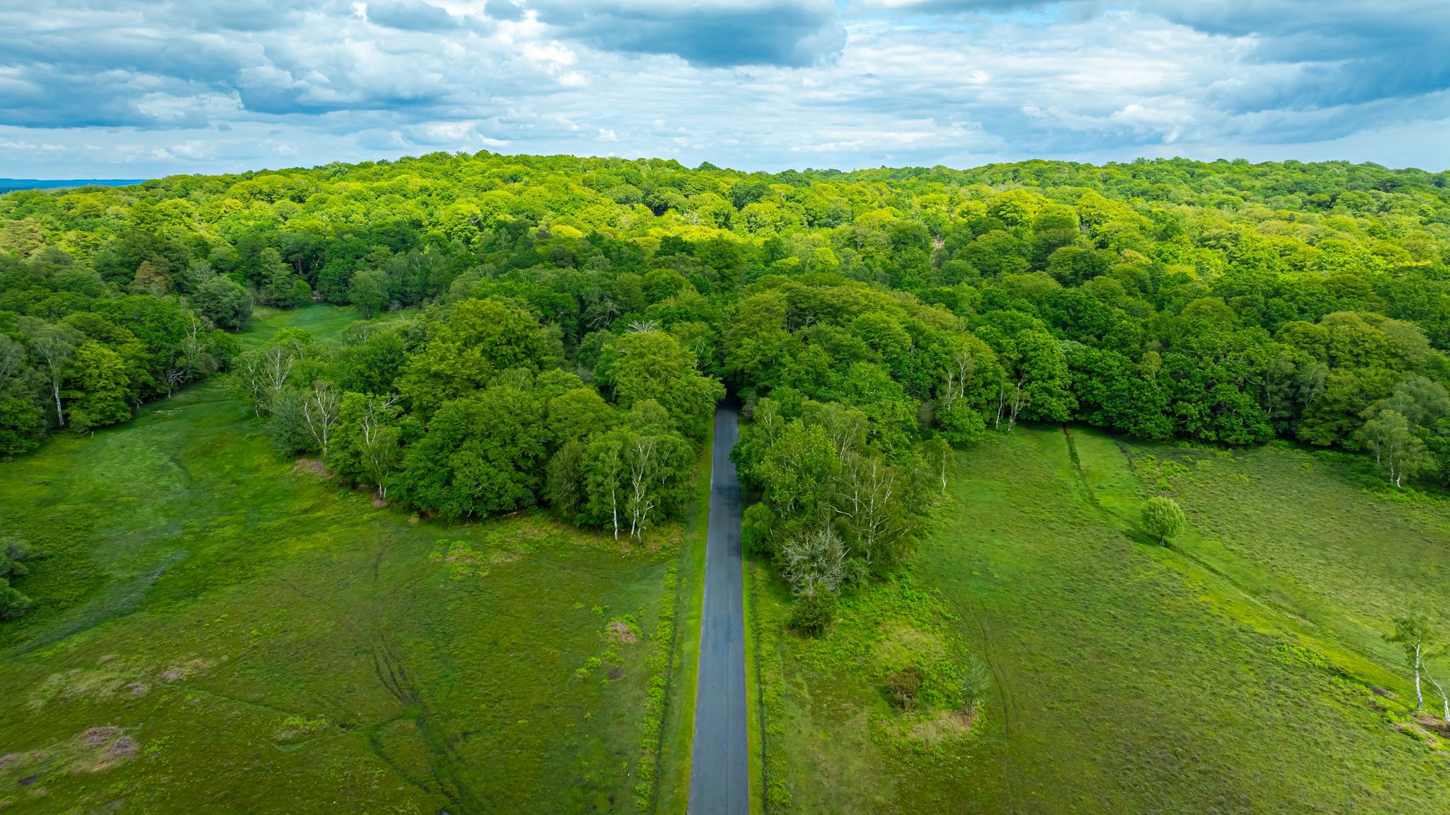 New Forest National Park