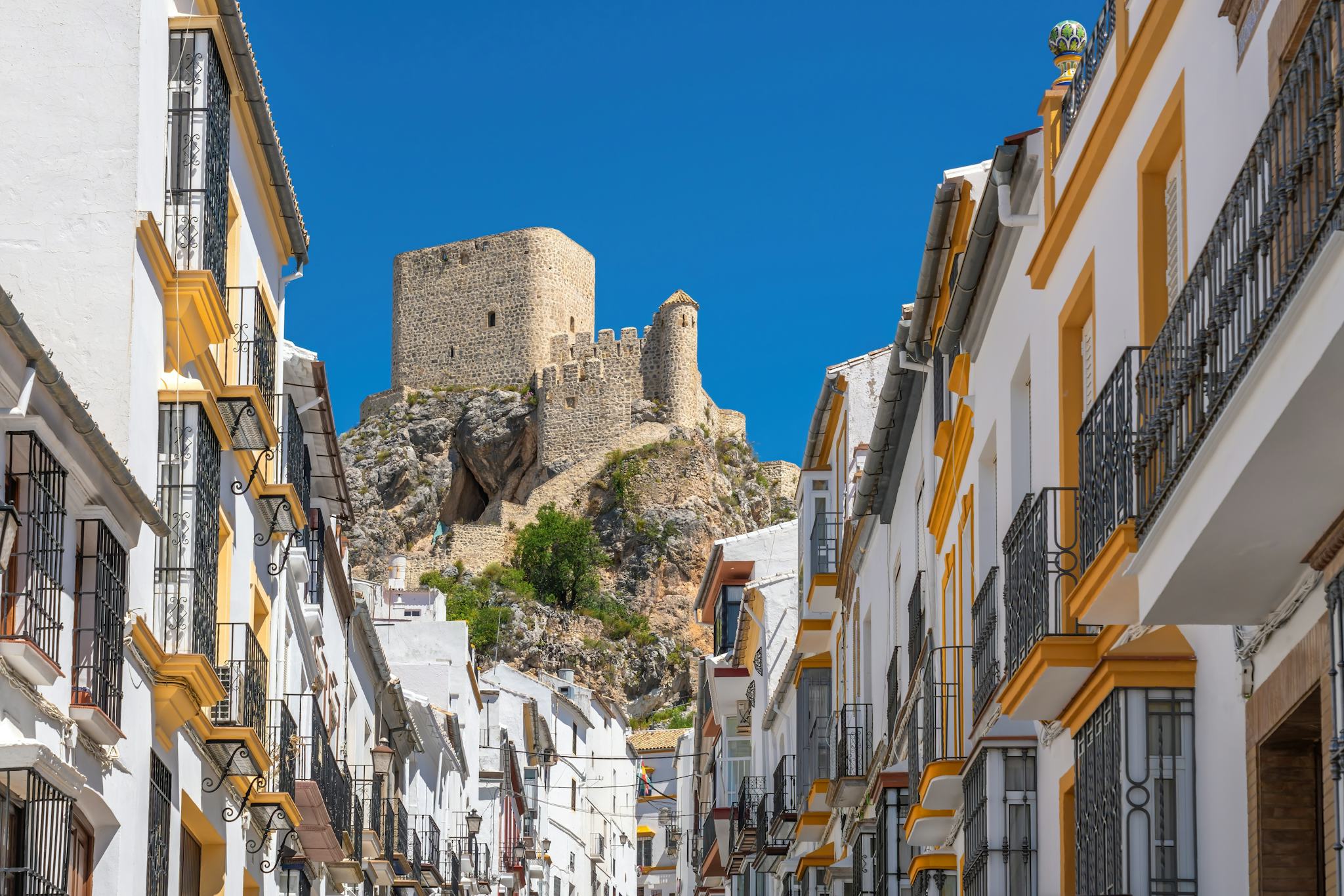 Olvera