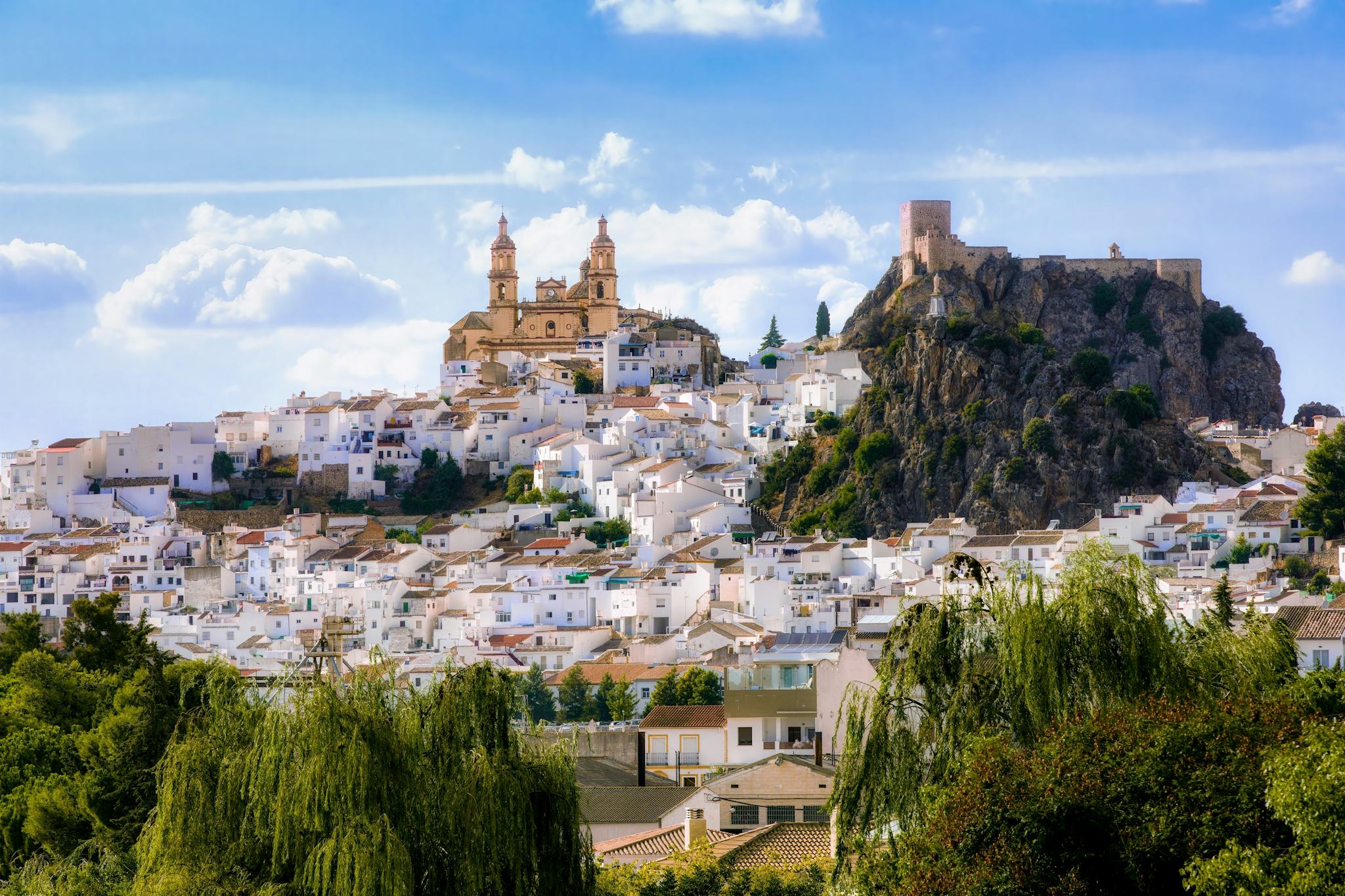 Olvera