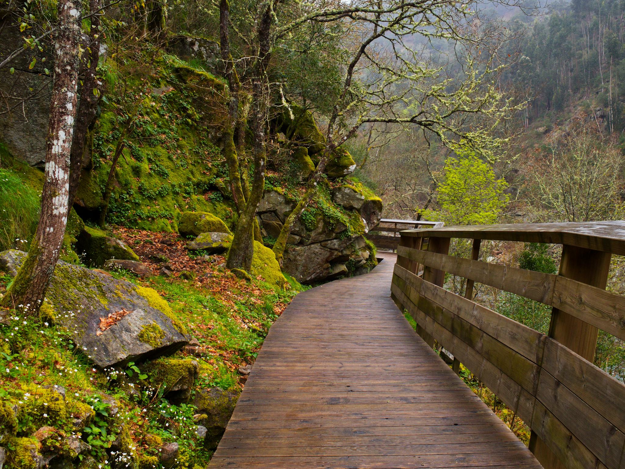 Paiva Walkways