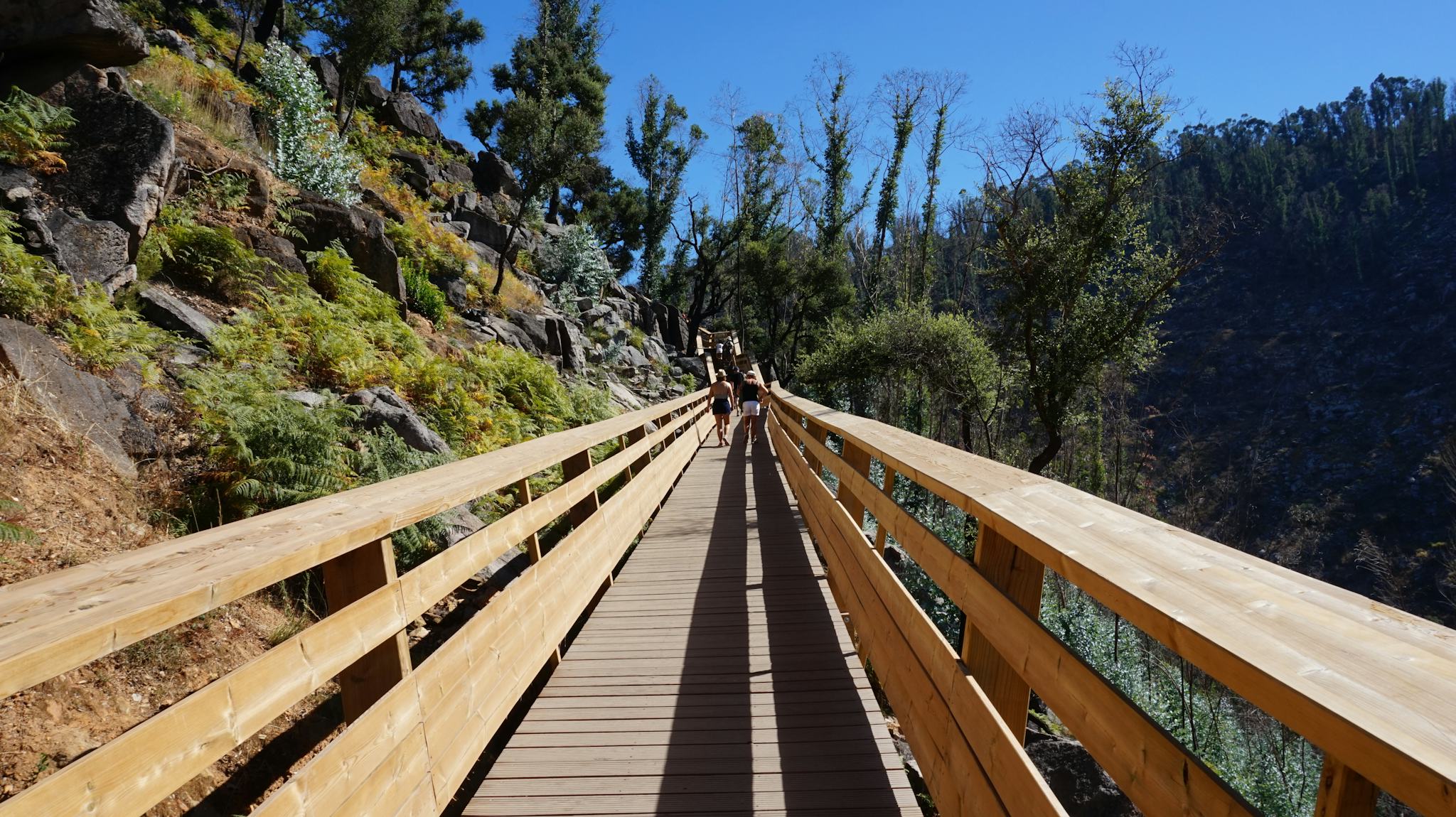 Paiva Walkways