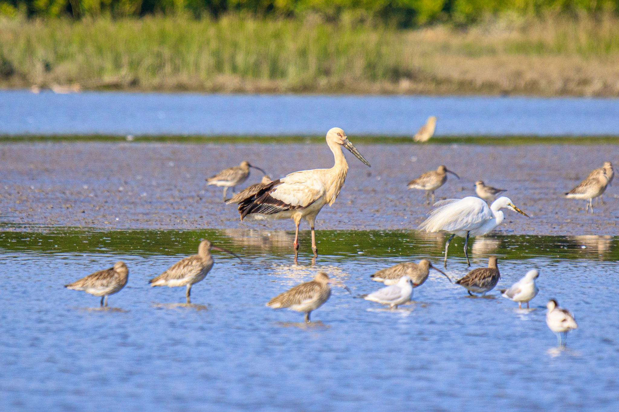 Panti Bird Sanctuary