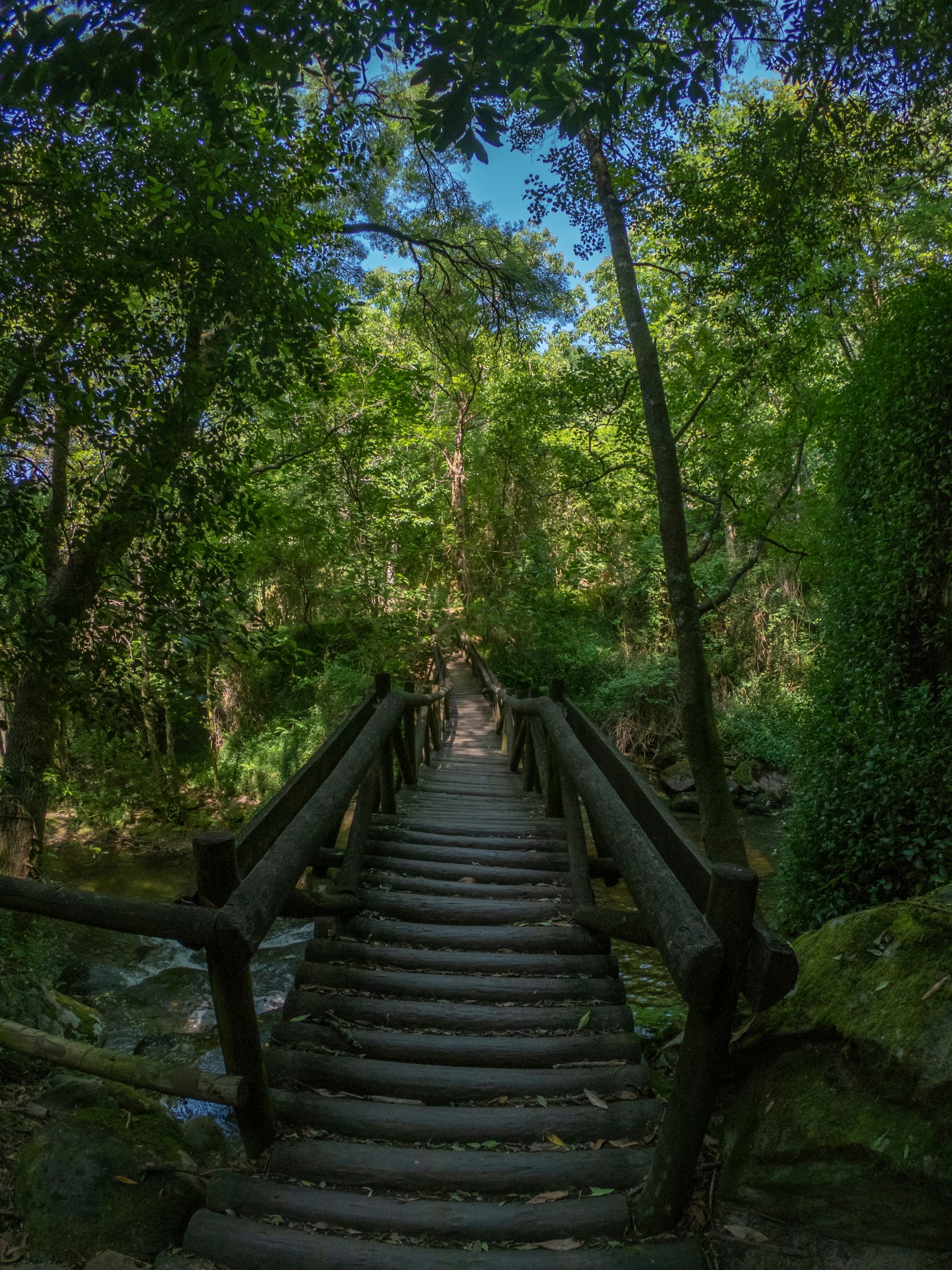 Parque de Lazer do Ribeiro de Sampaio