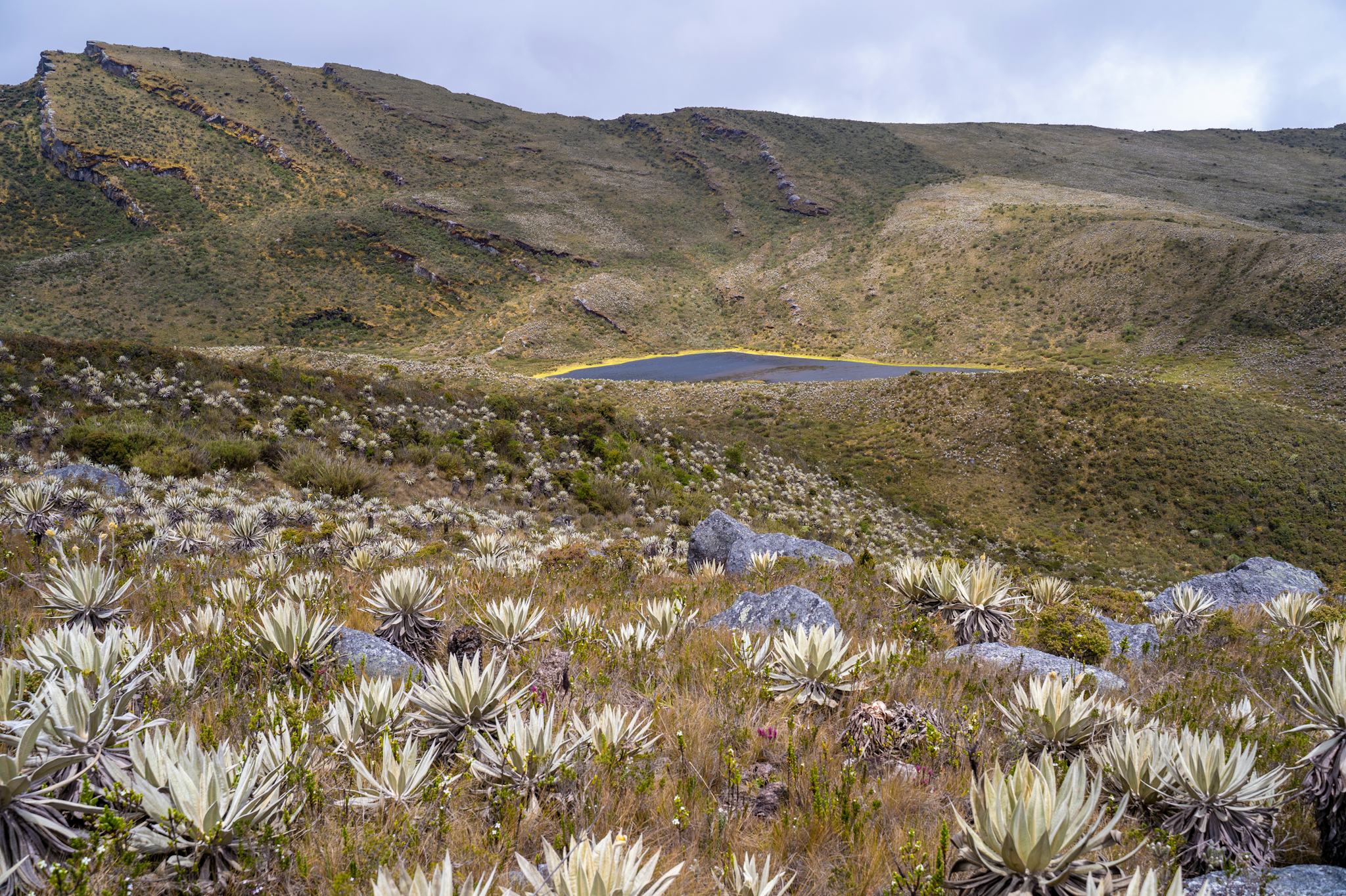 Parque Nacional Natural Chingaza