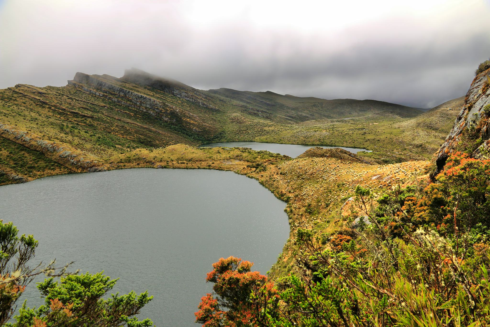 Bogota to Chingaza Park and La Calera: Private day trip